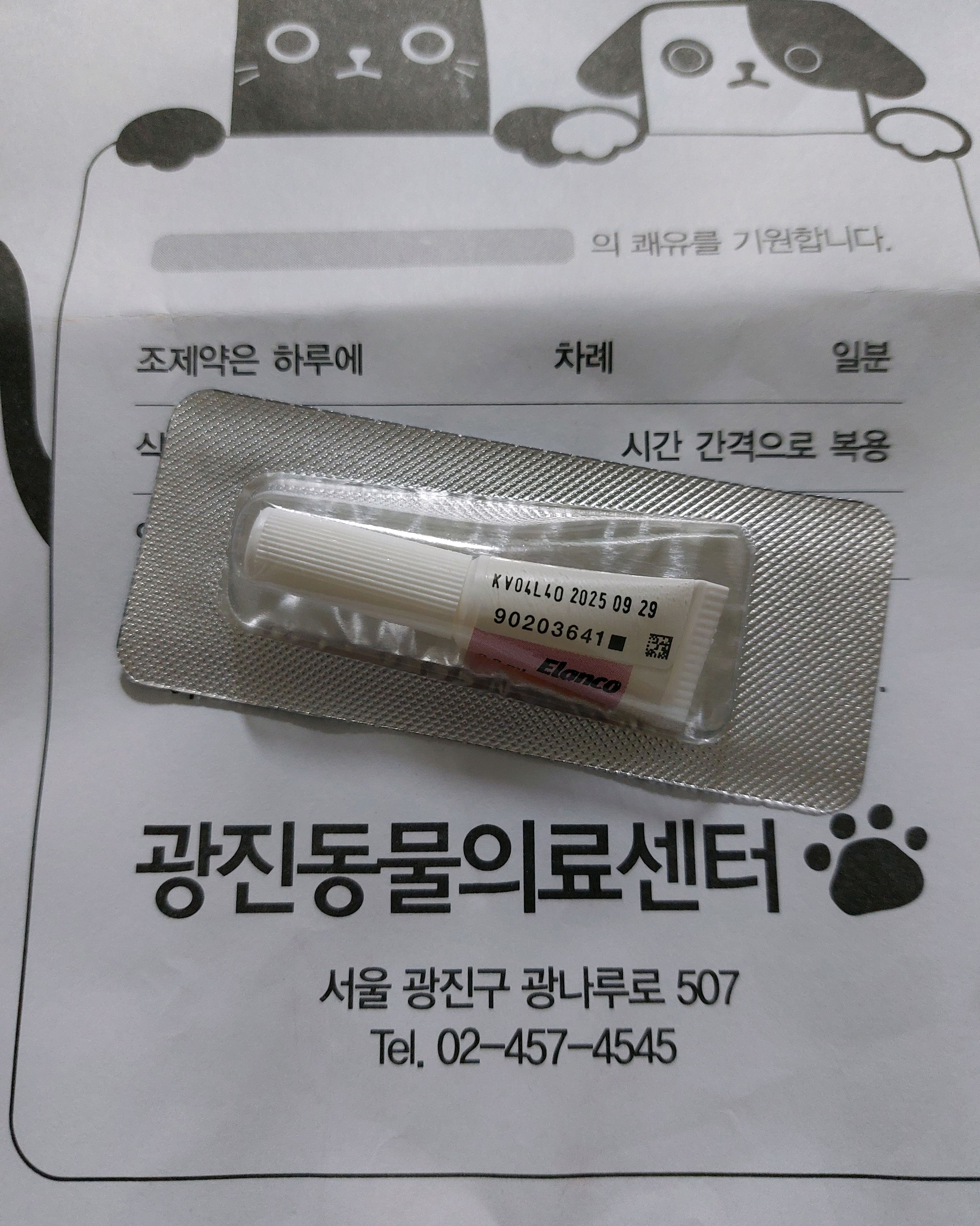 리뷰 사진 1