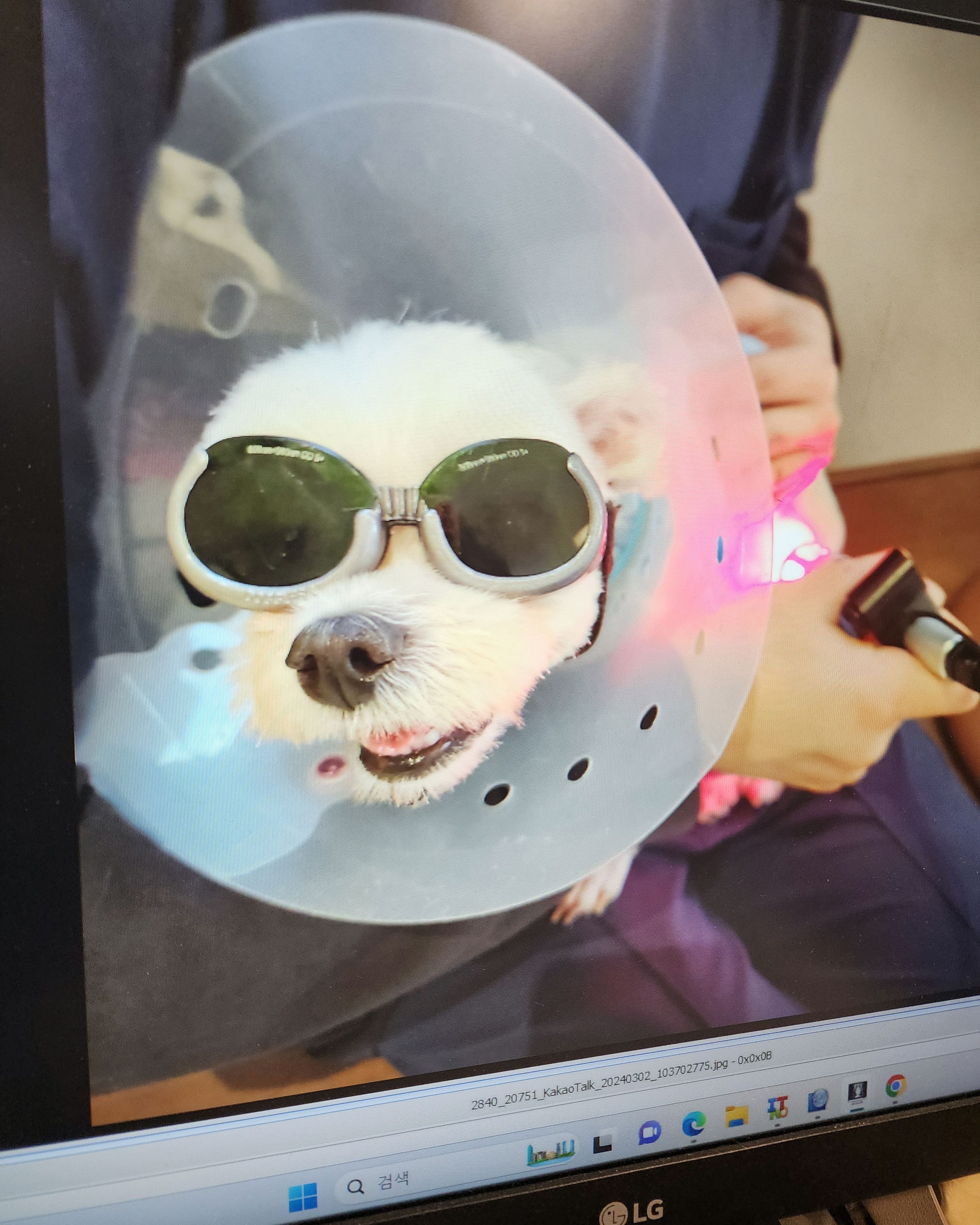 리뷰 사진 1