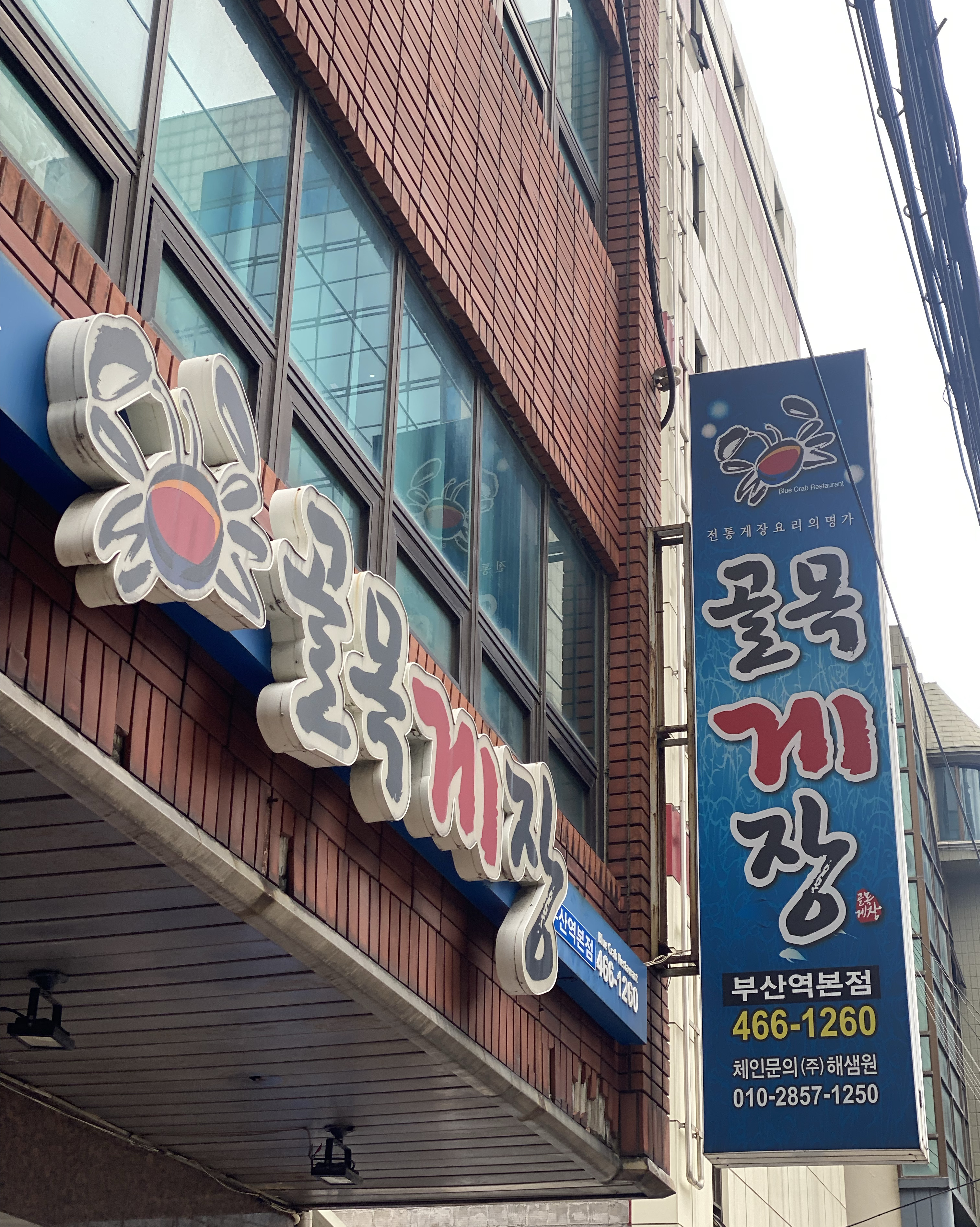 [부산역 맛집 골목게장 부산역본점] 직접 가본 로컬 리뷰