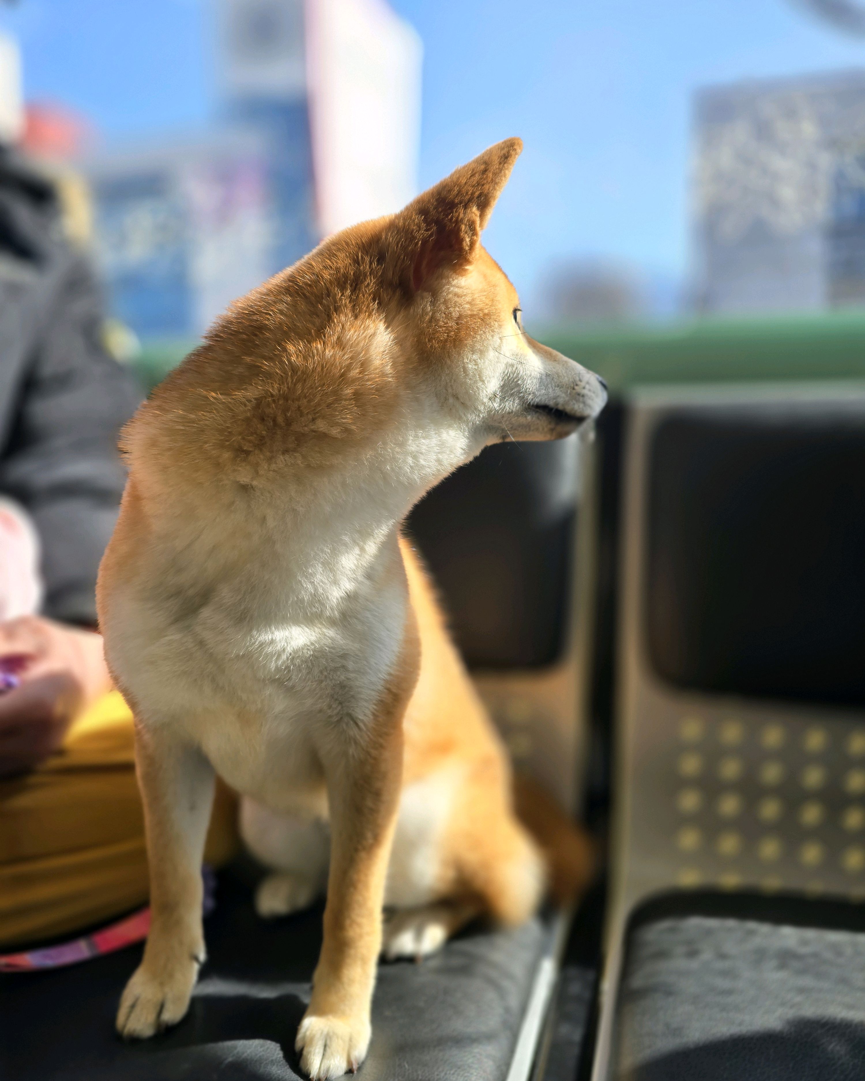 방학동물병원 사진 3