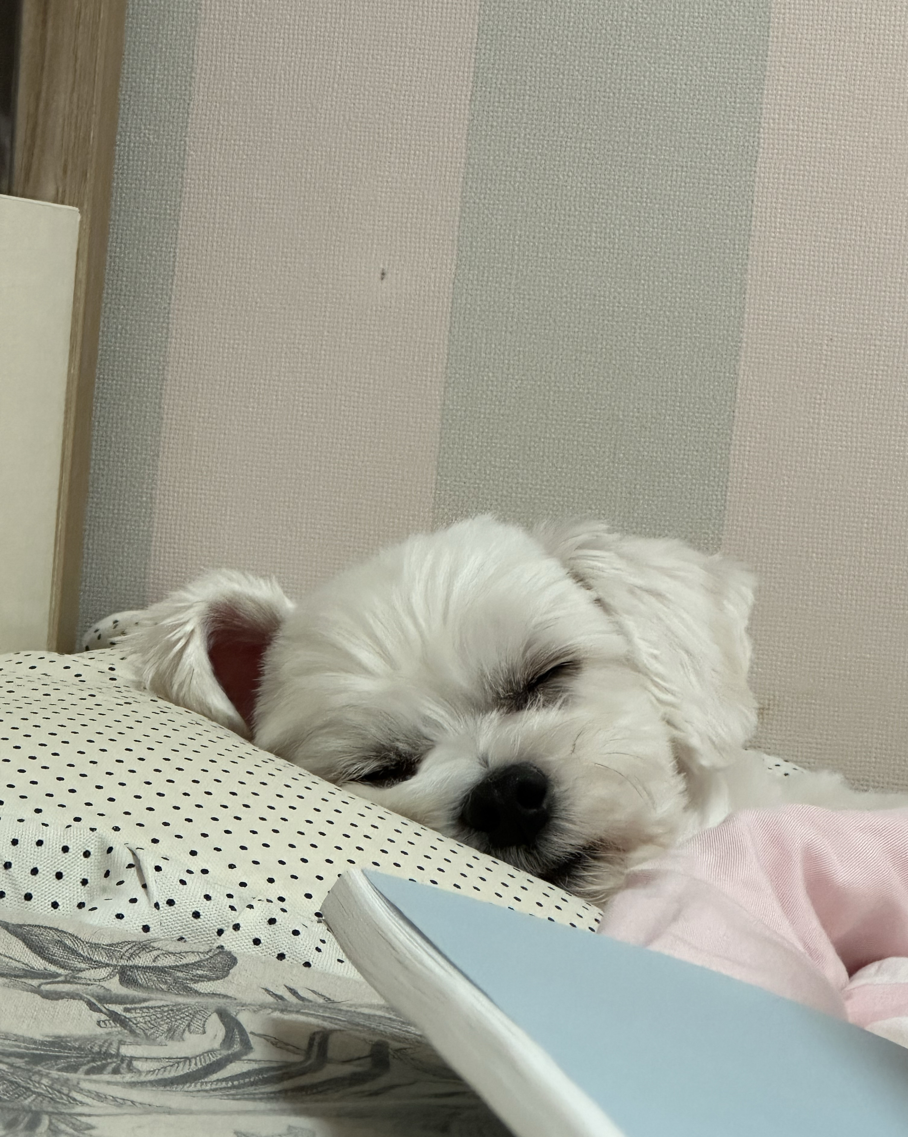 리뷰 사진 1