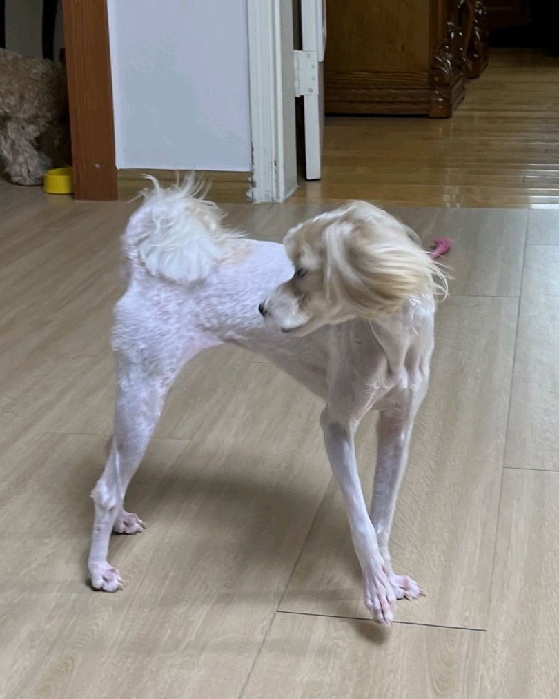 양지동물병원 사진 2