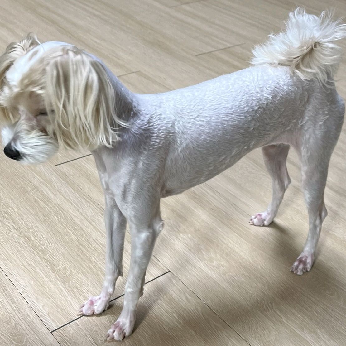양지동물병원 사진 3