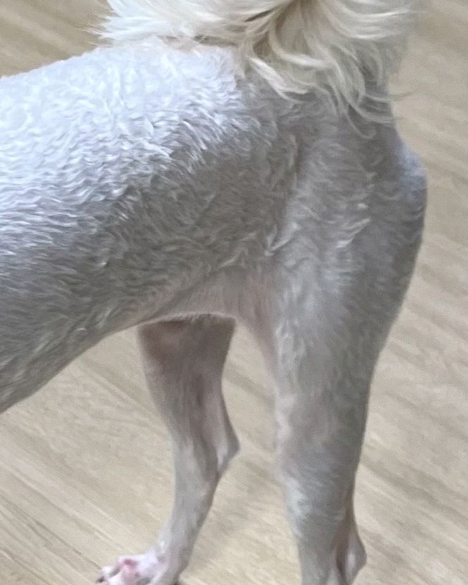 양지동물병원 사진 5