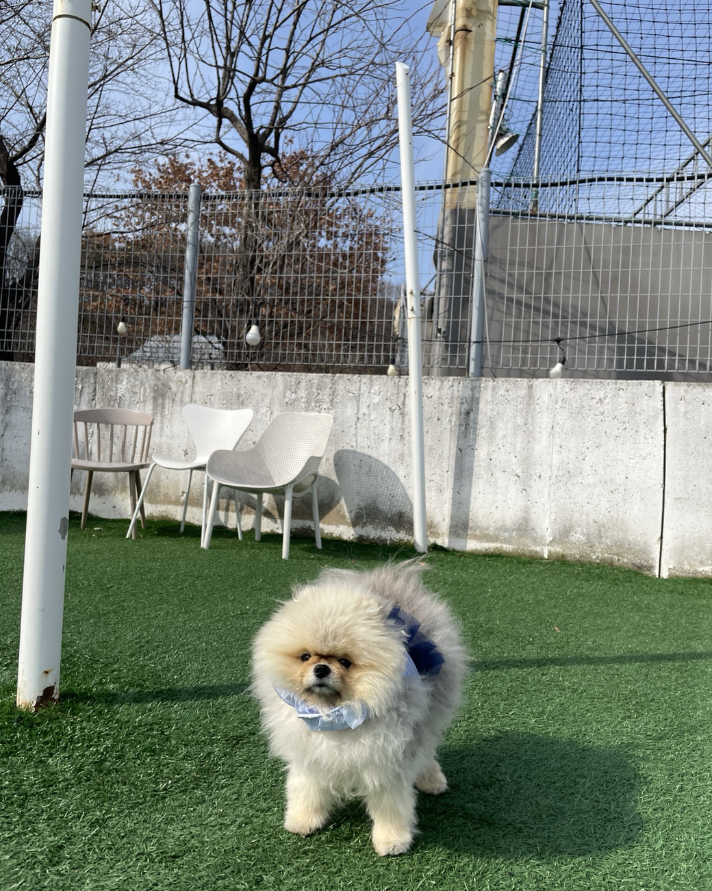 리뷰 사진 1