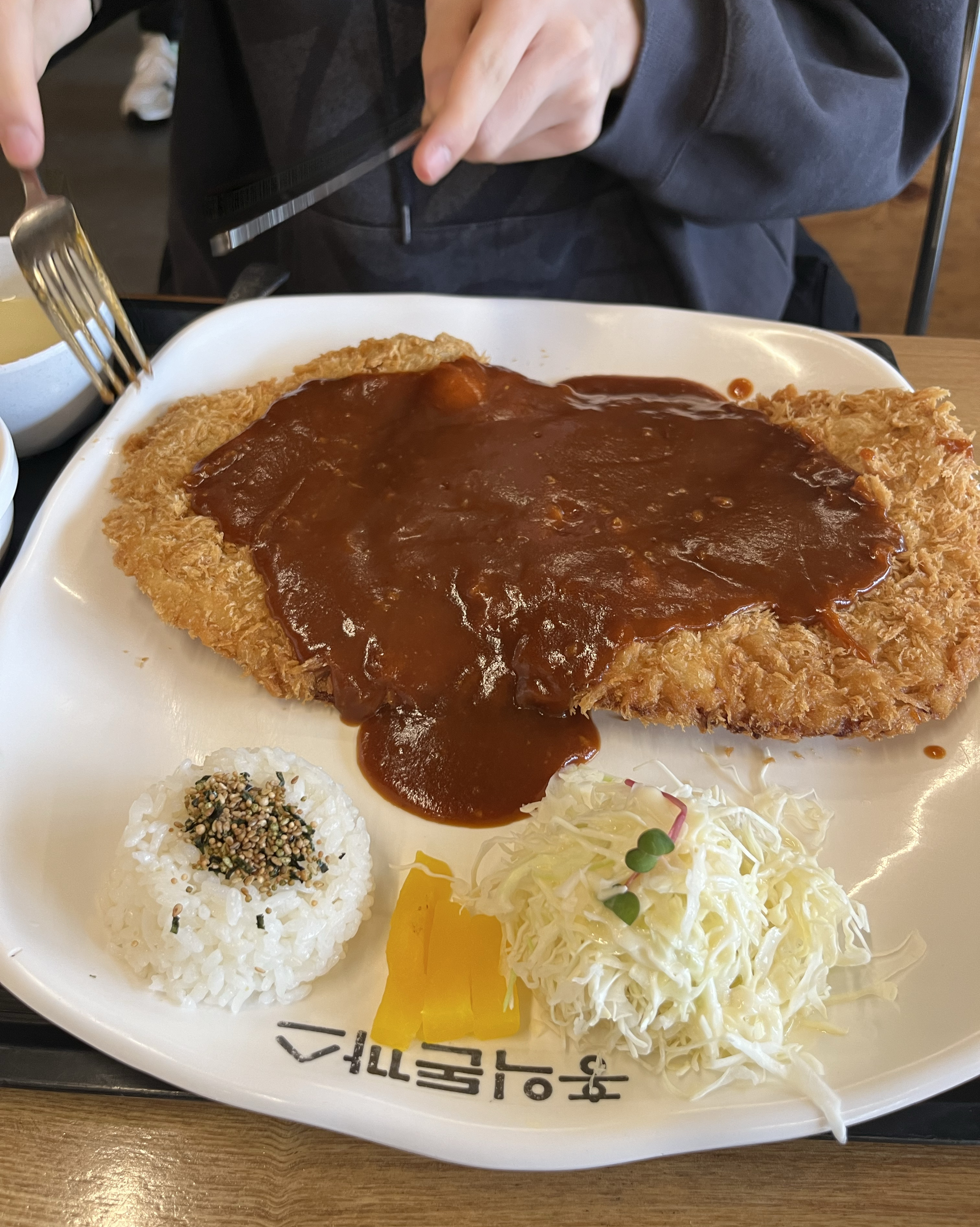 동백의 오래된 맛집~! - 기흥 맛집 홍익돈까스 기흥점