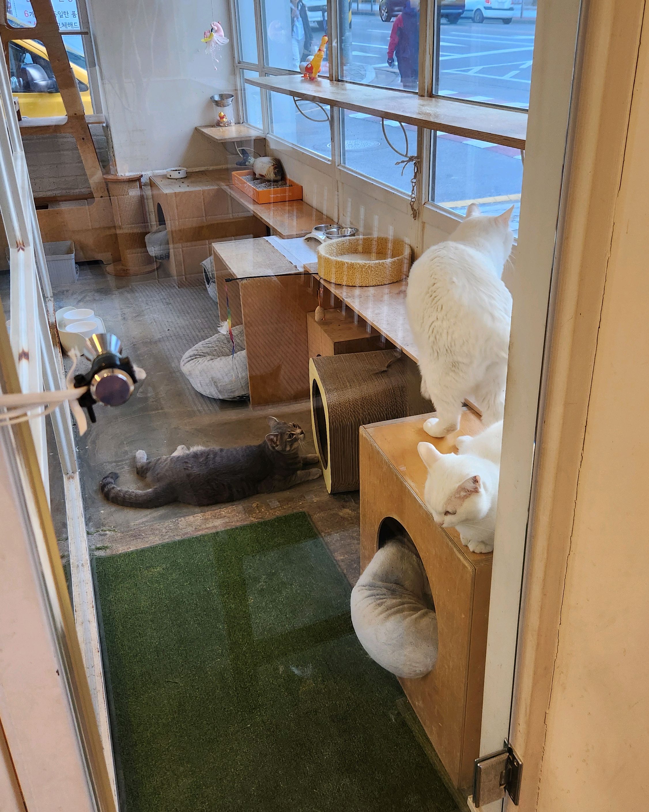 리뷰 사진 1