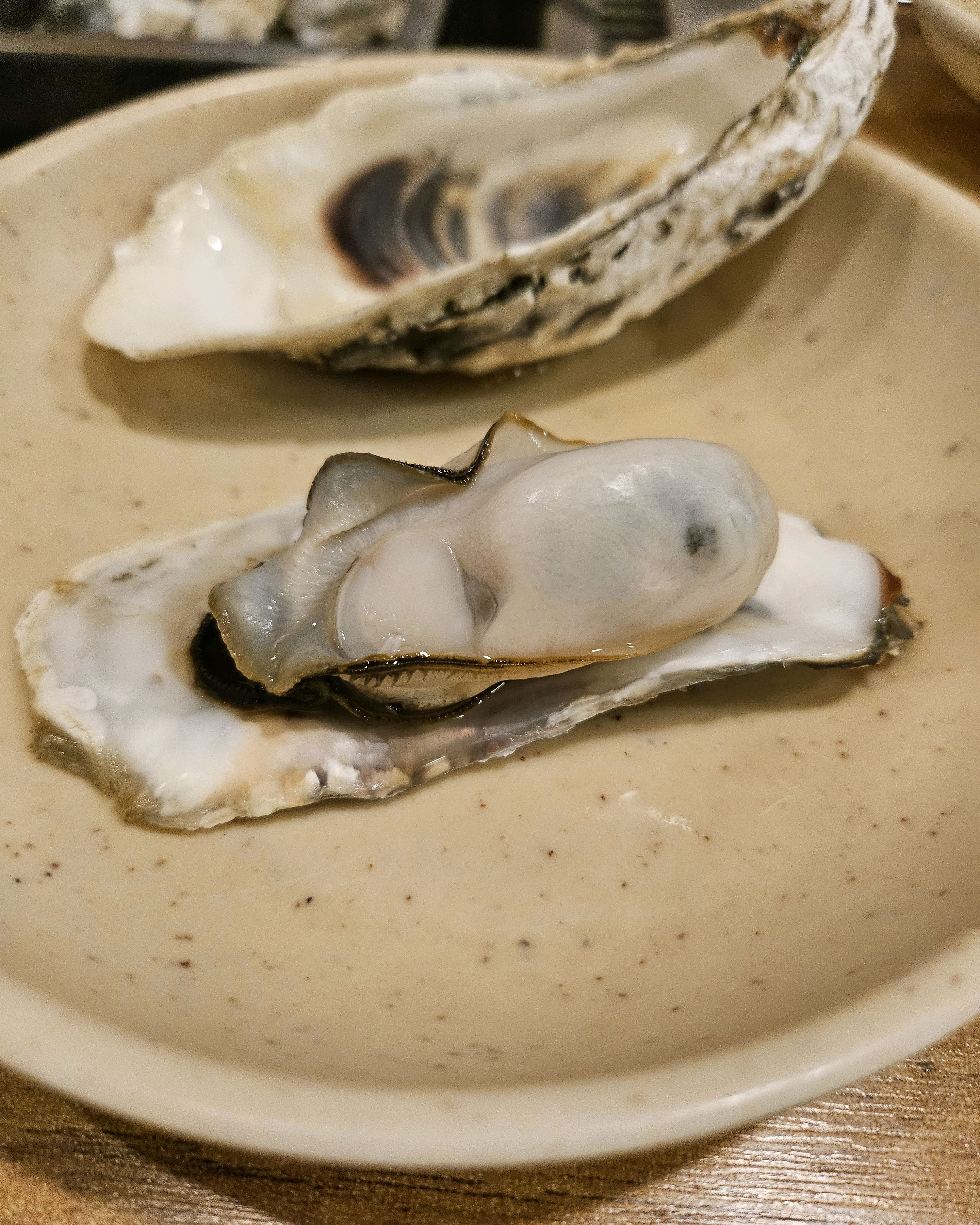 정자역 맛집 찌마기 본점 내돈내산 방문리뷰