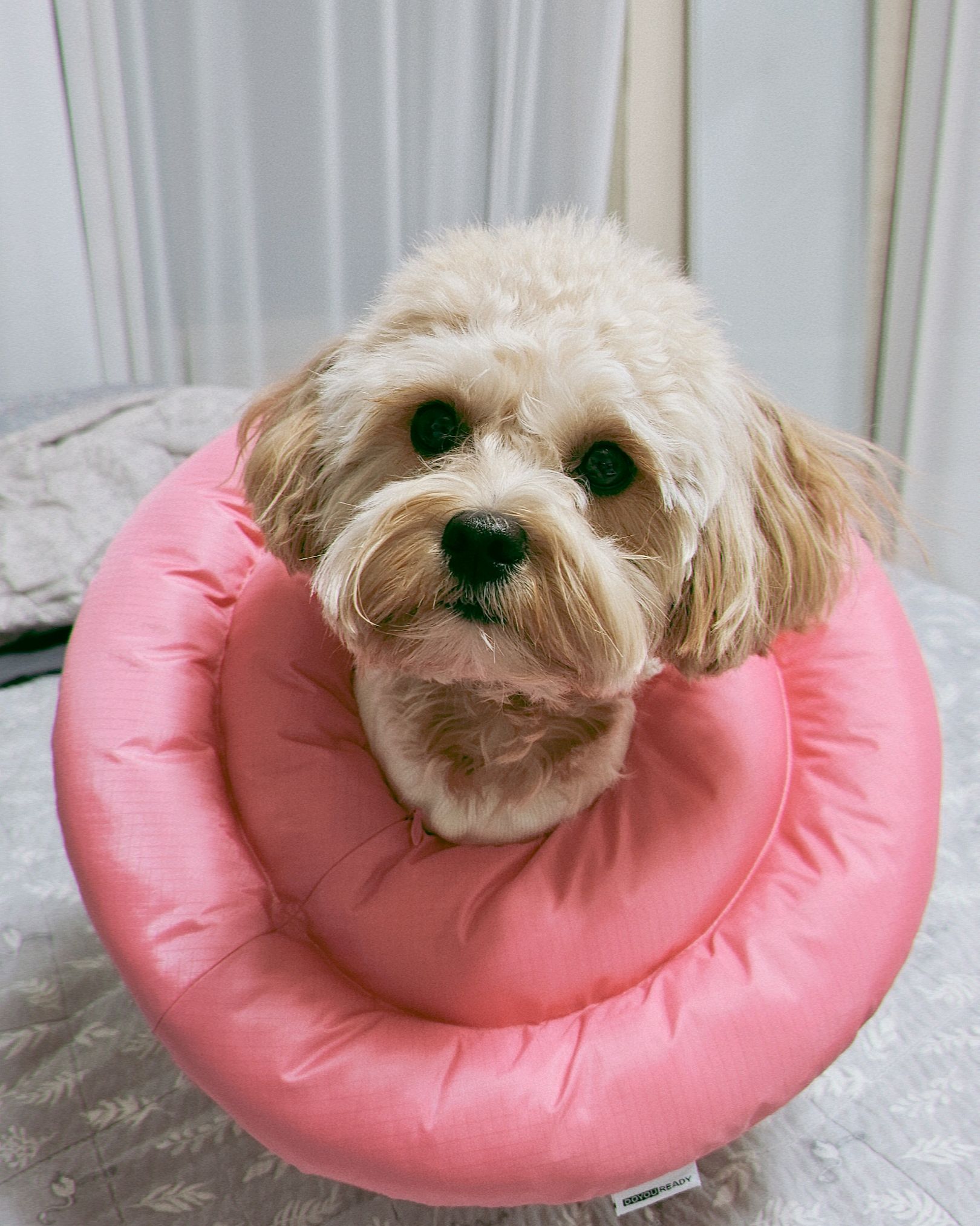 리뷰 사진 1