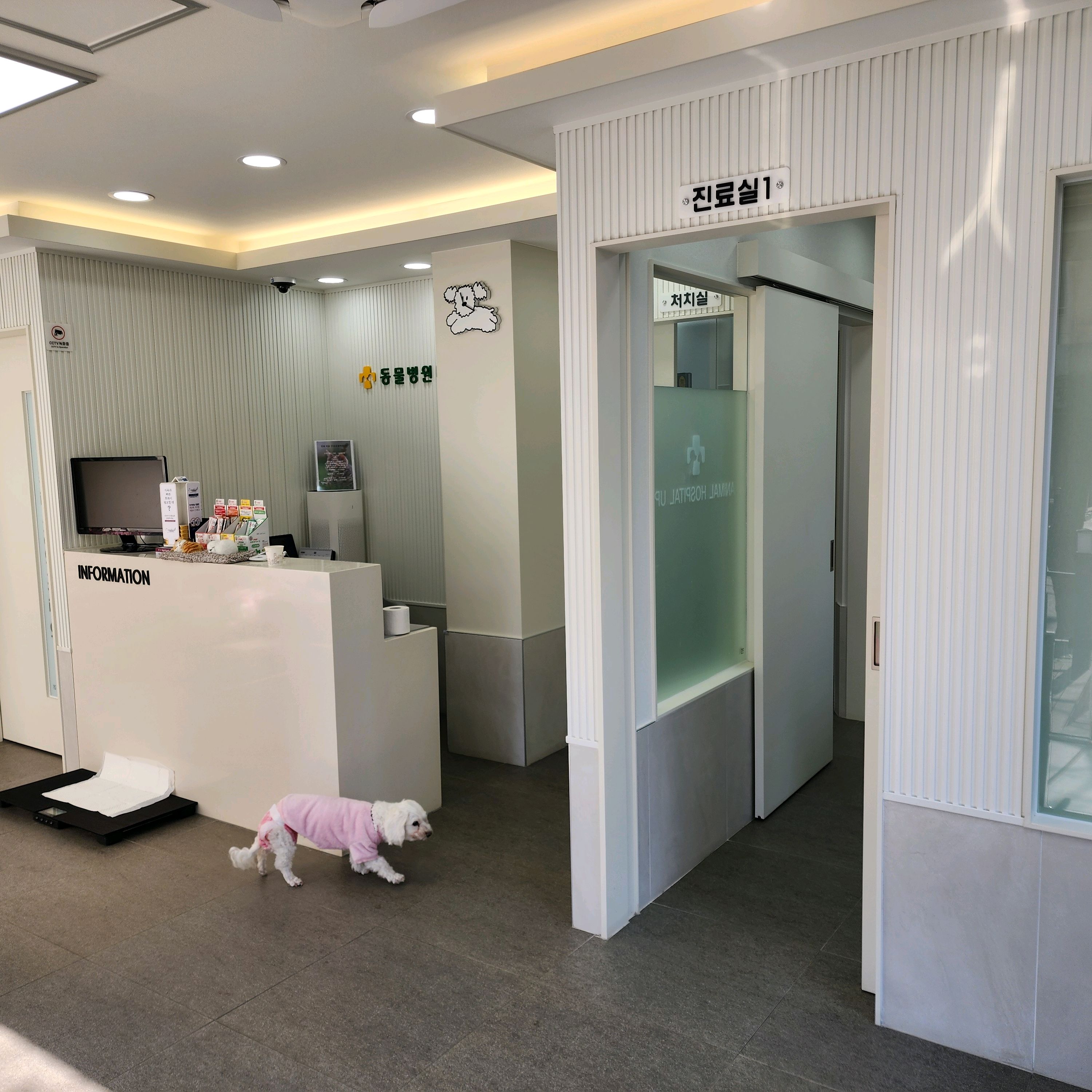 리뷰 사진 1