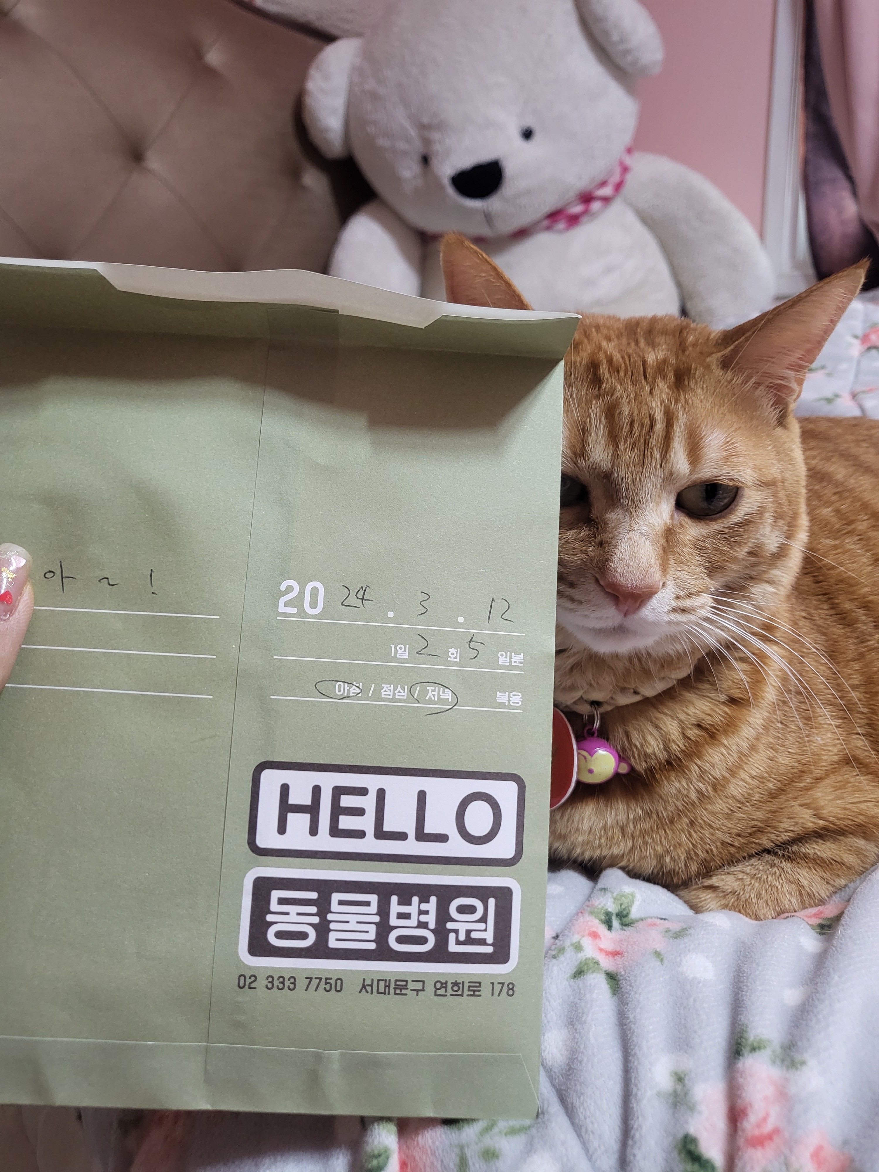 리뷰 사진 1
