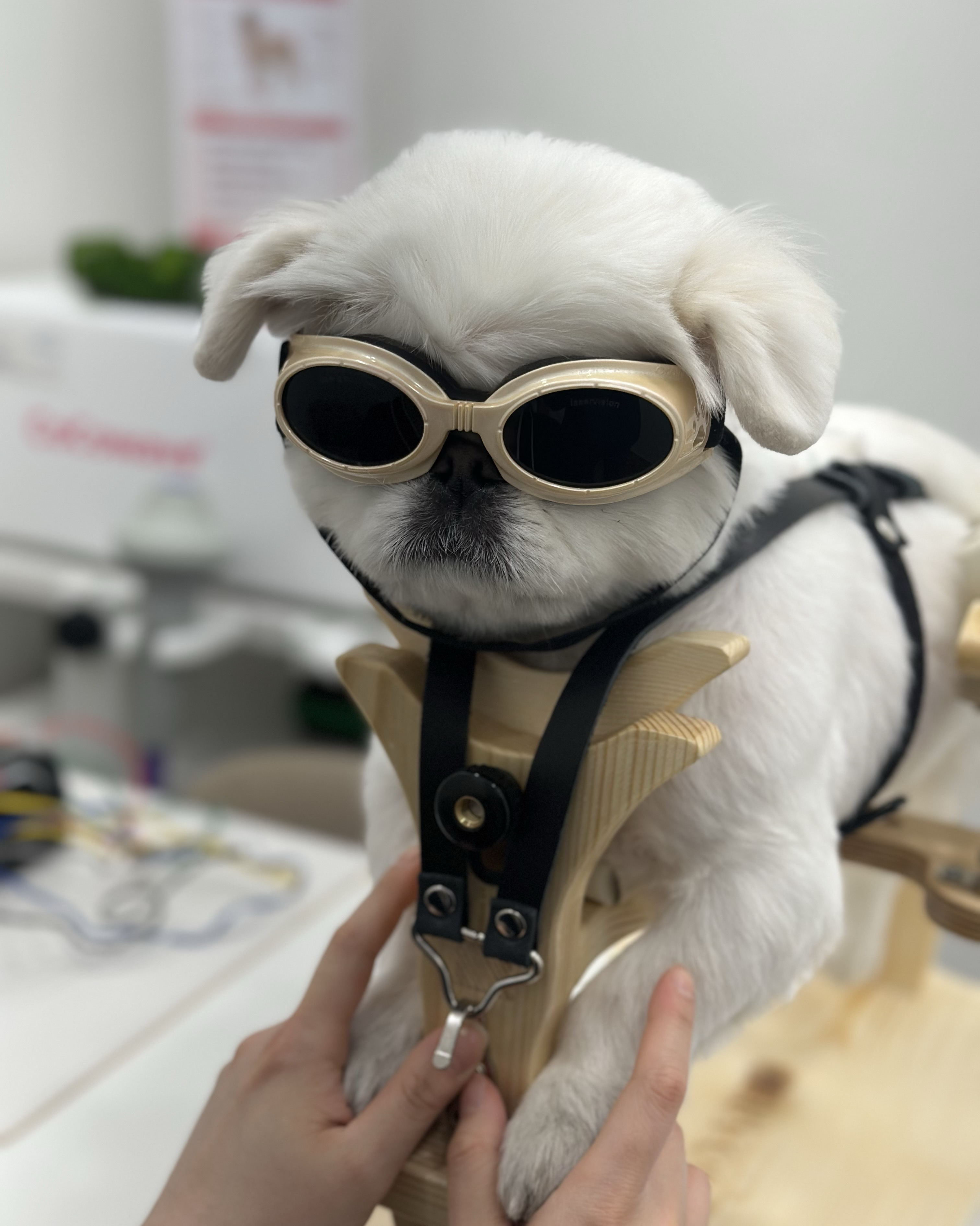 리뷰 사진 1