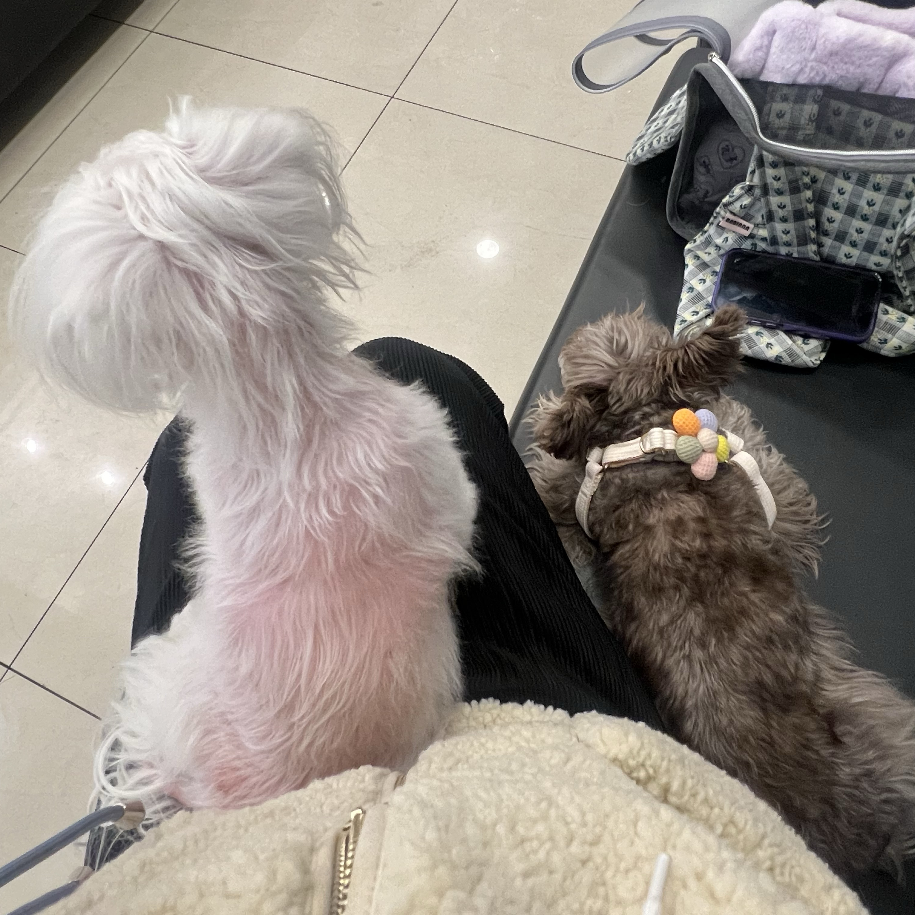 리뷰 사진 6