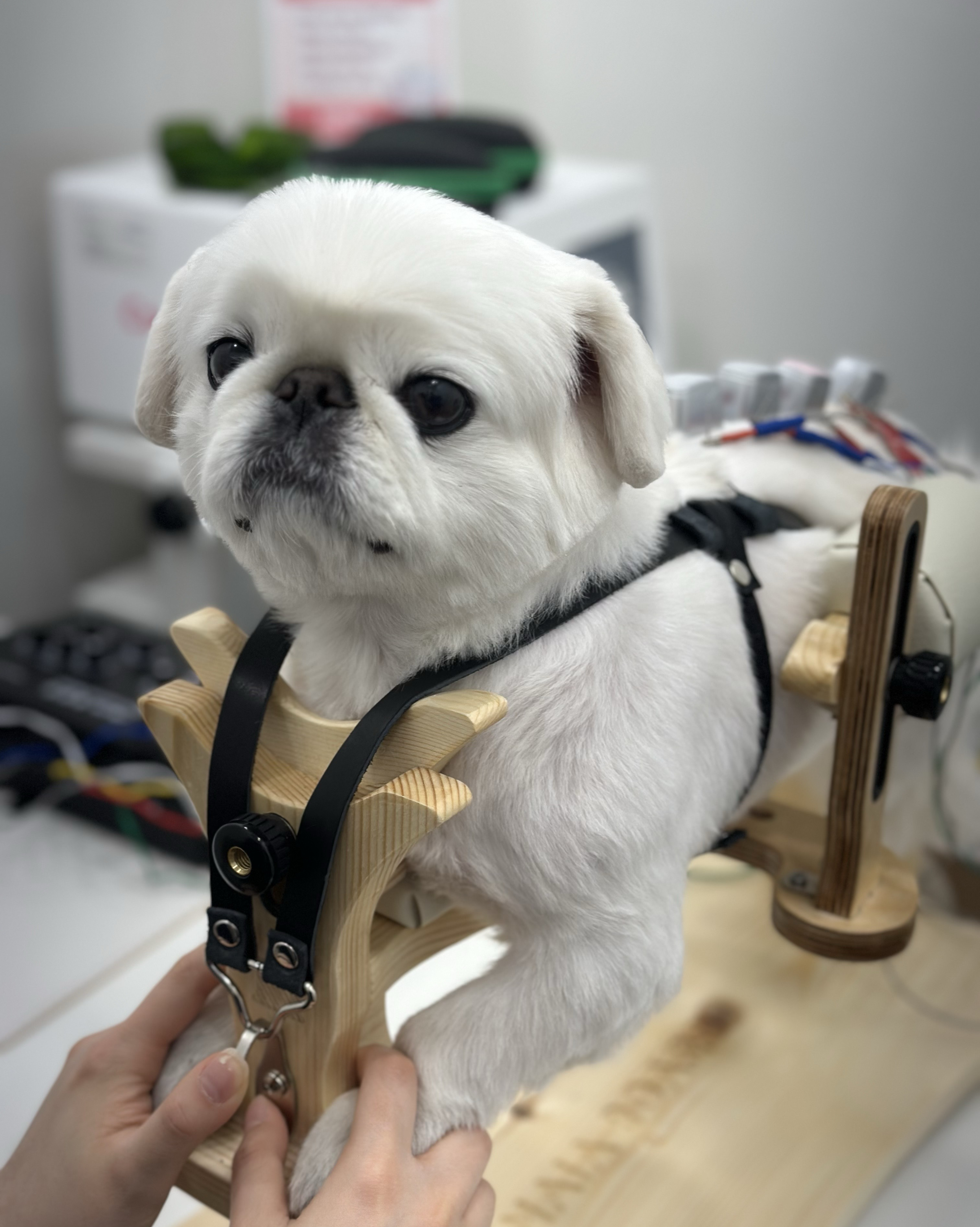 리뷰 사진 2