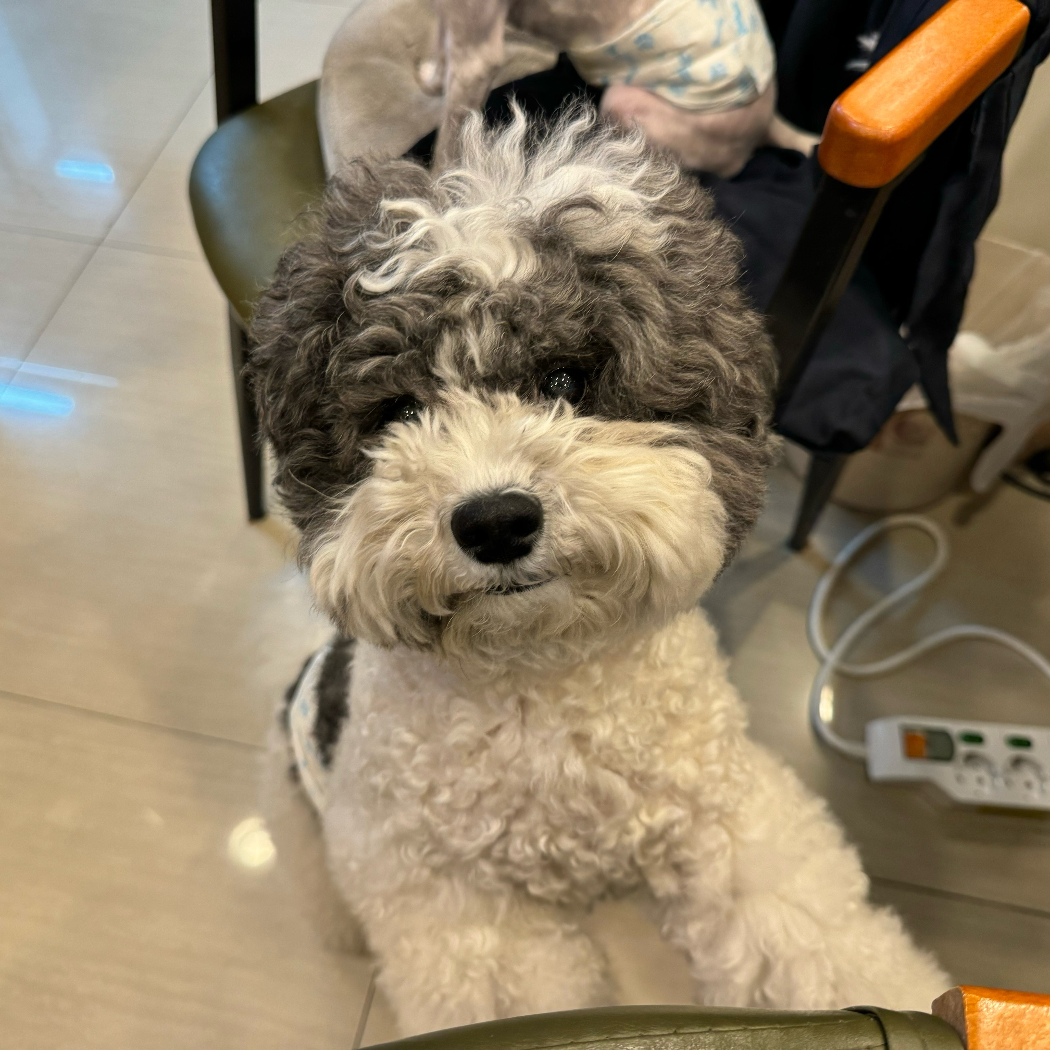 리뷰 사진 1