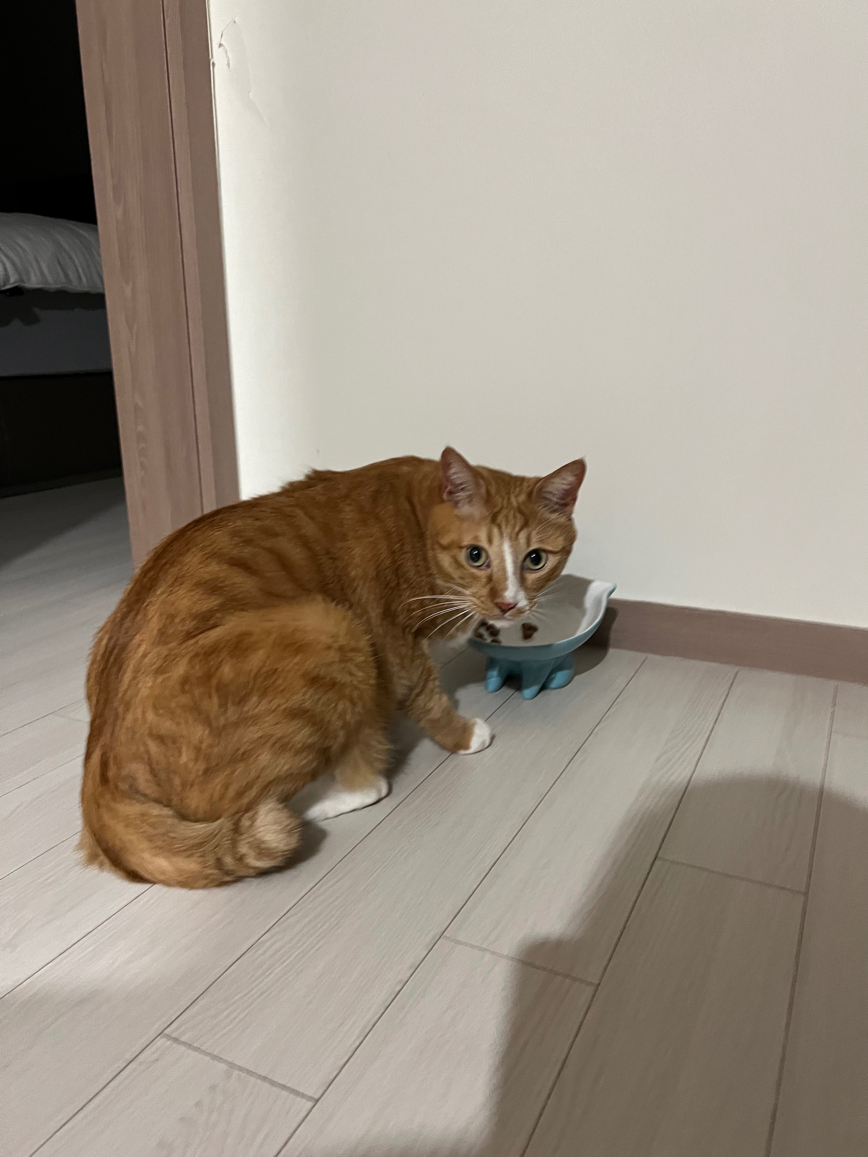 리뷰 사진 2