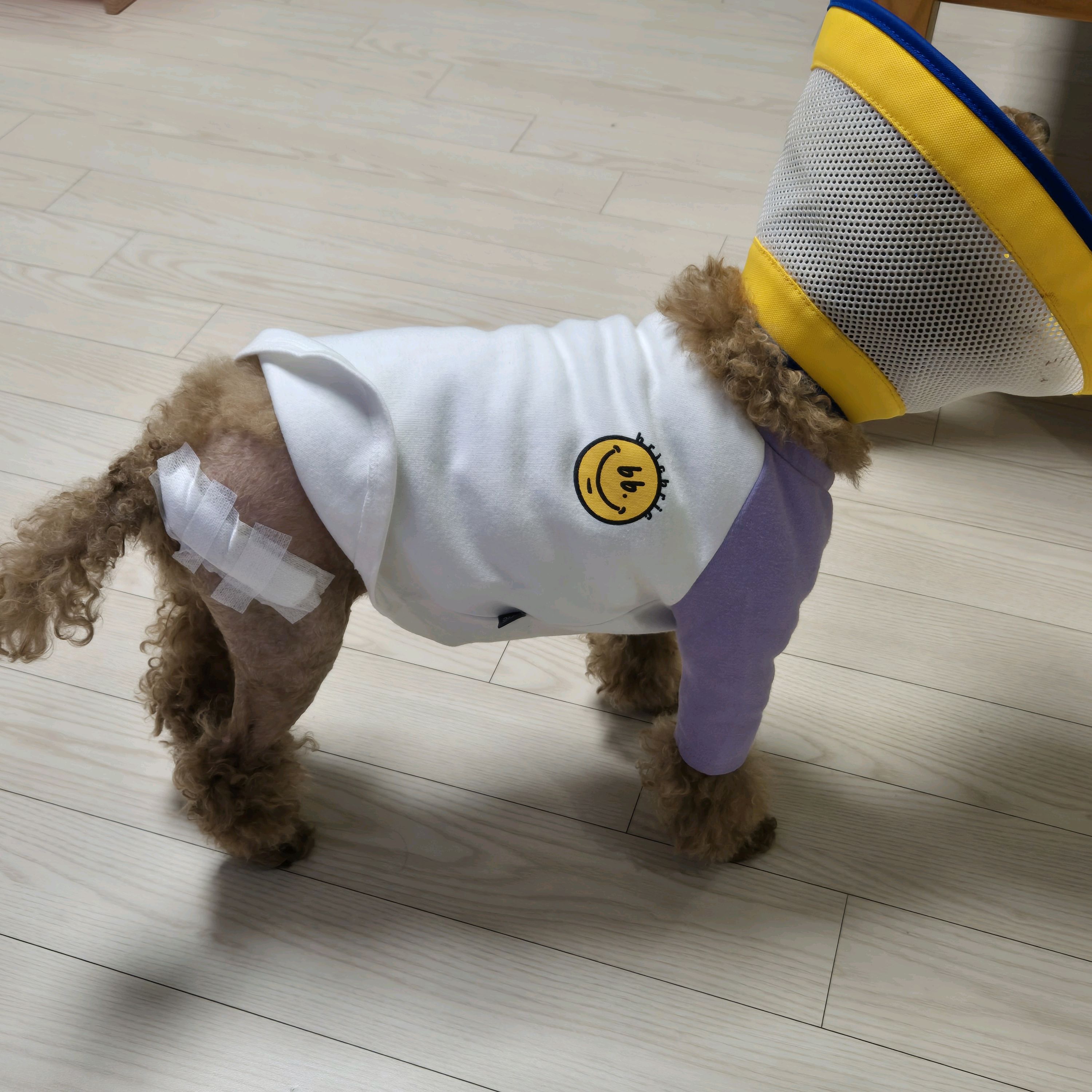 리뷰 사진 1