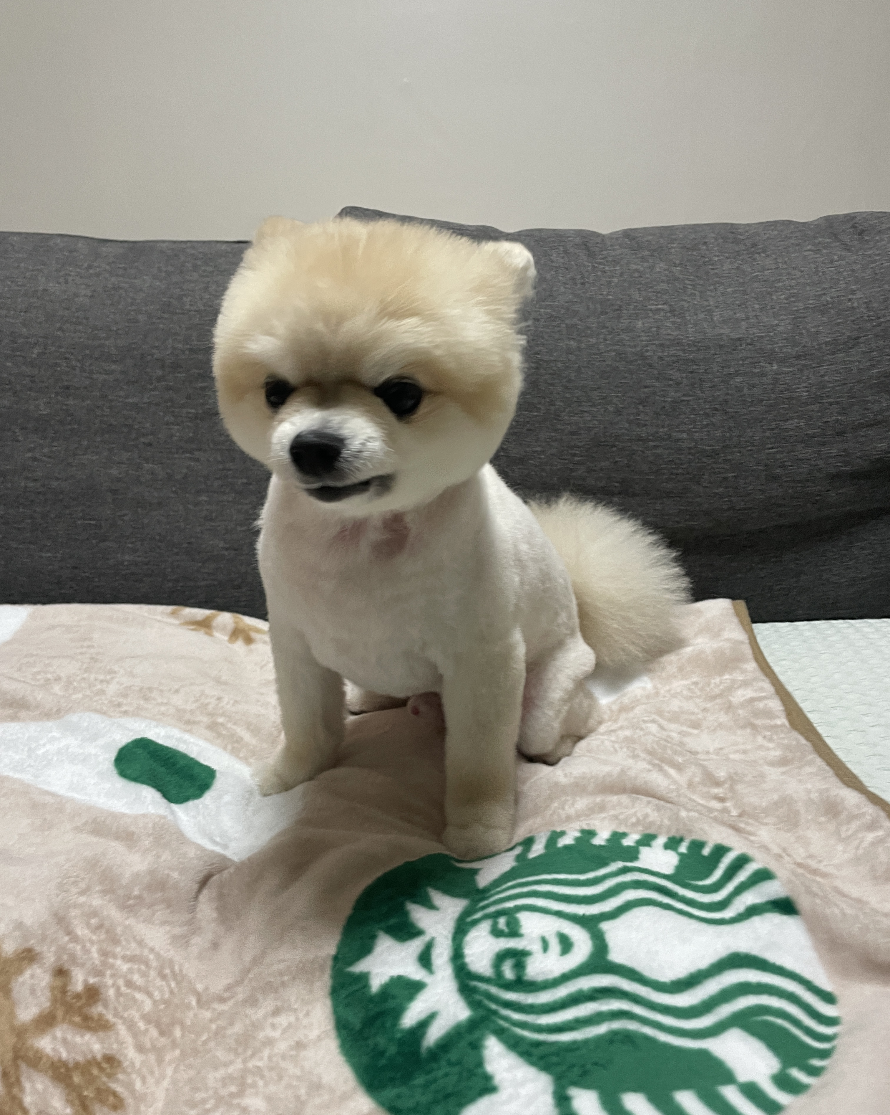 리뷰 사진 2