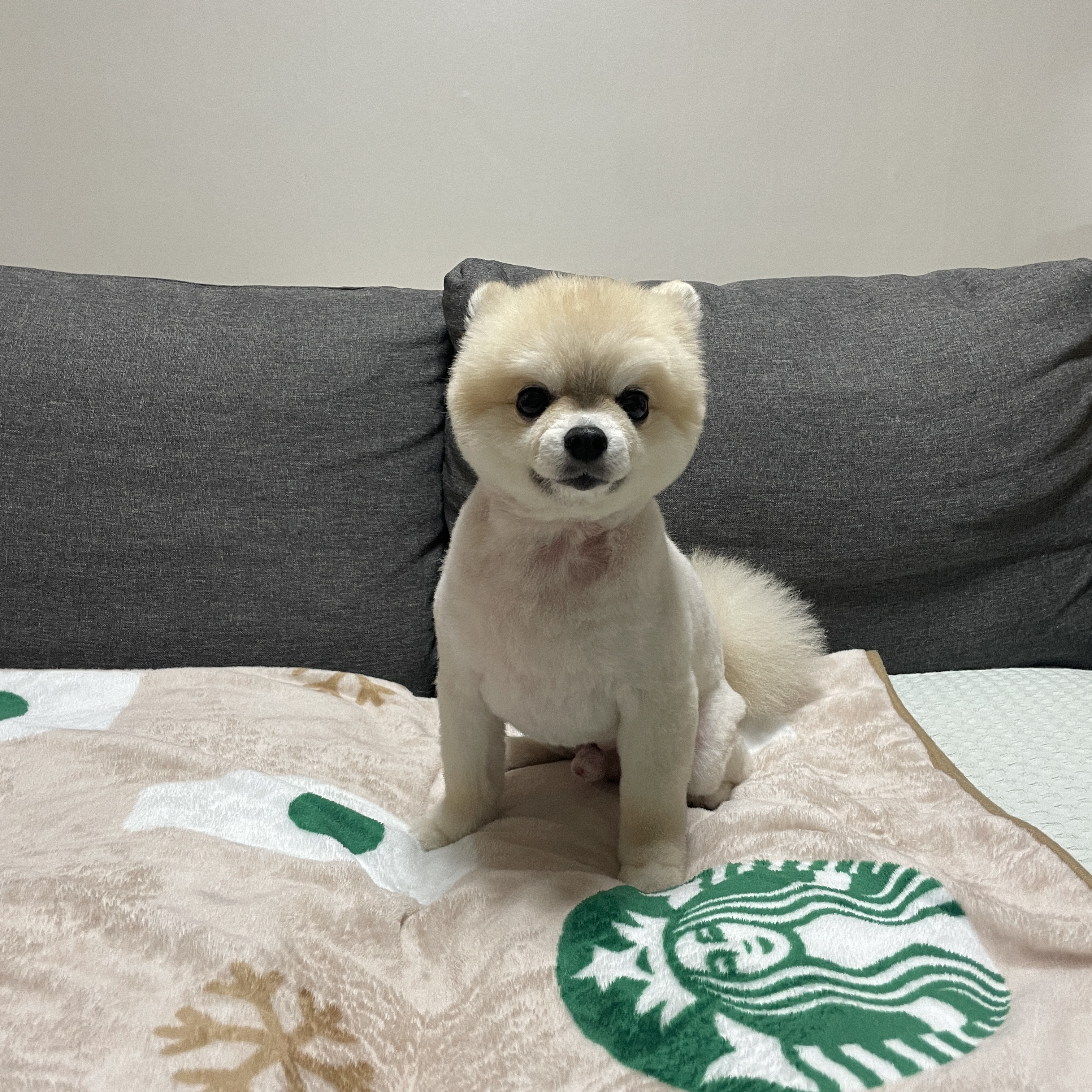 리뷰 사진 4
