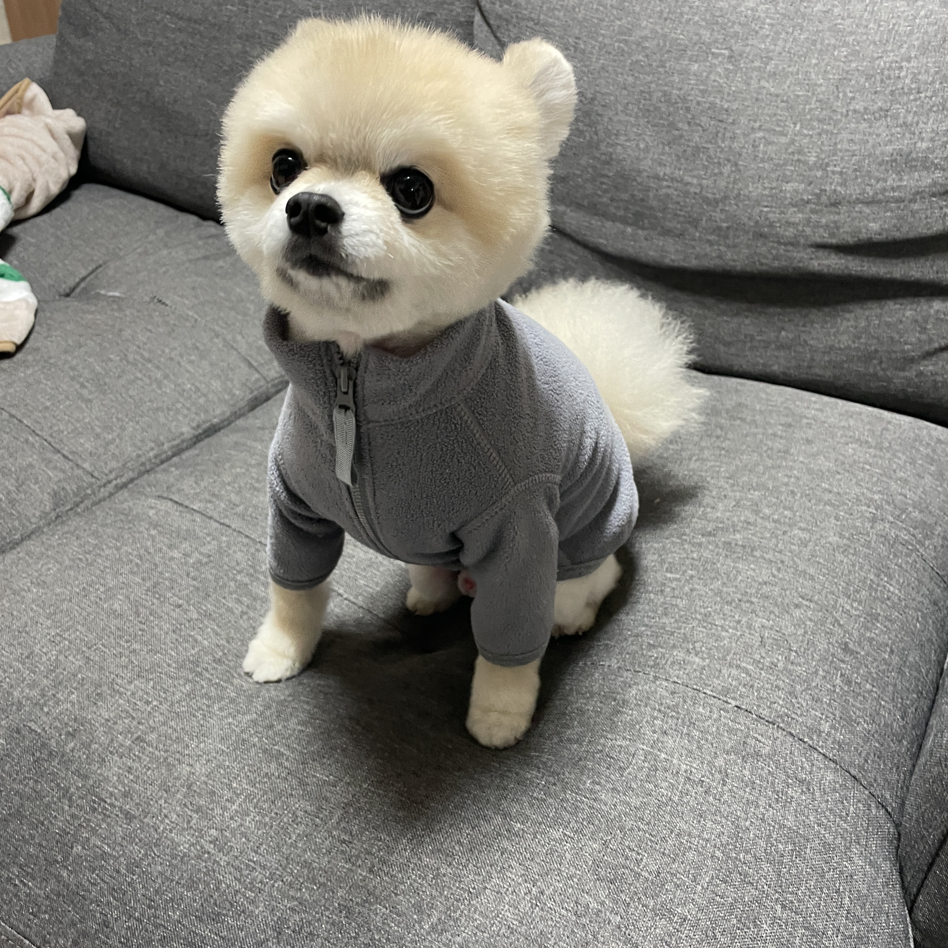 리뷰 사진 3