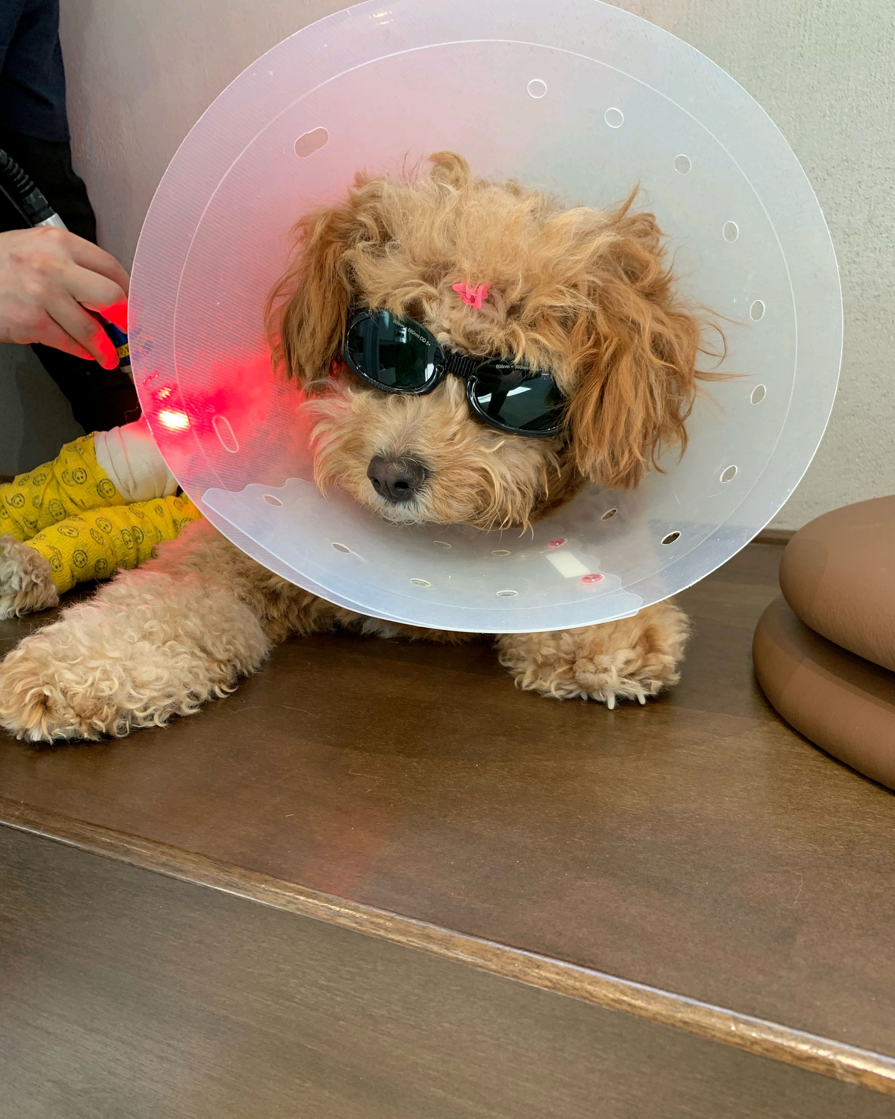 리뷰 사진 2