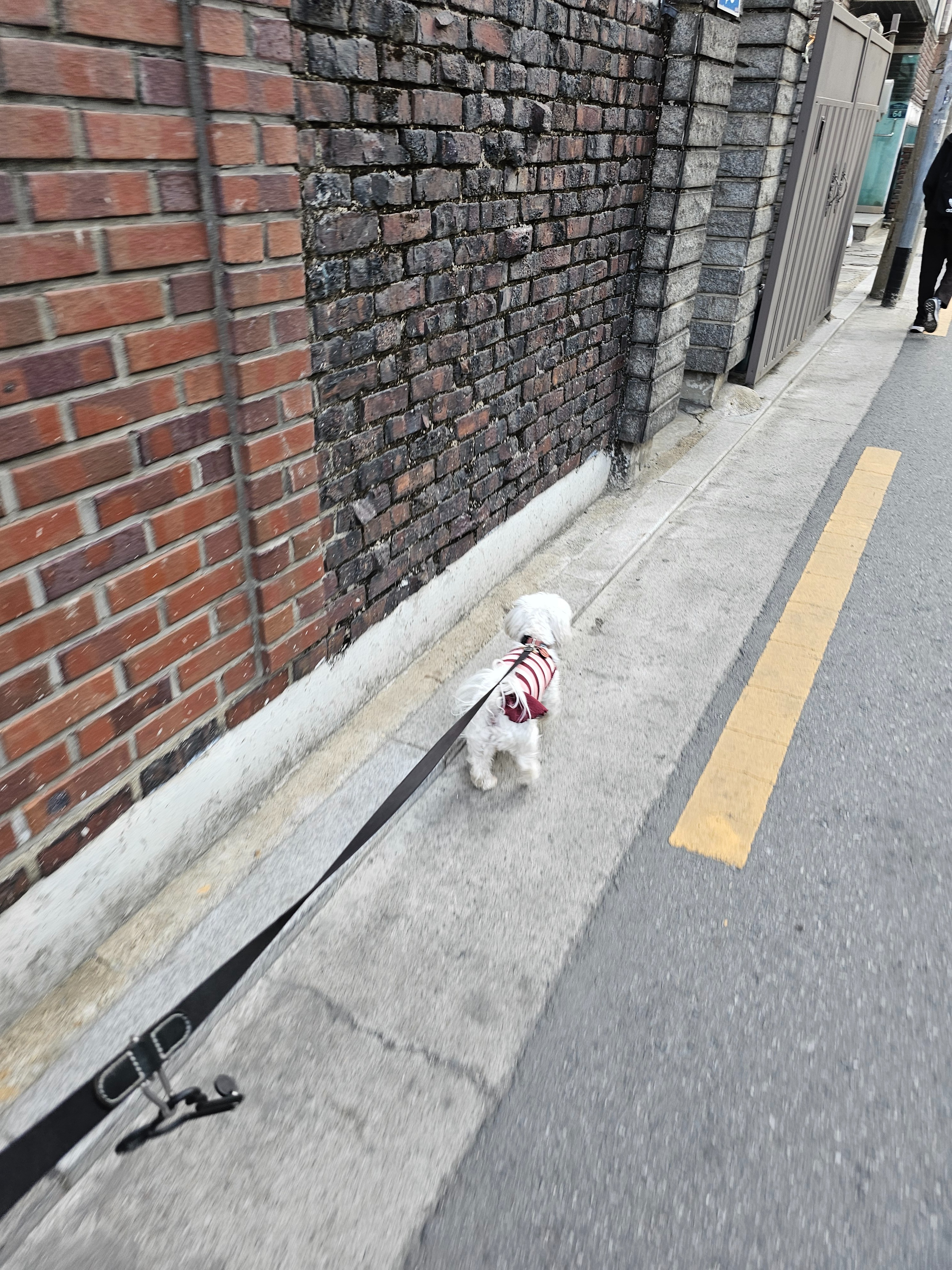 리뷰 사진 1