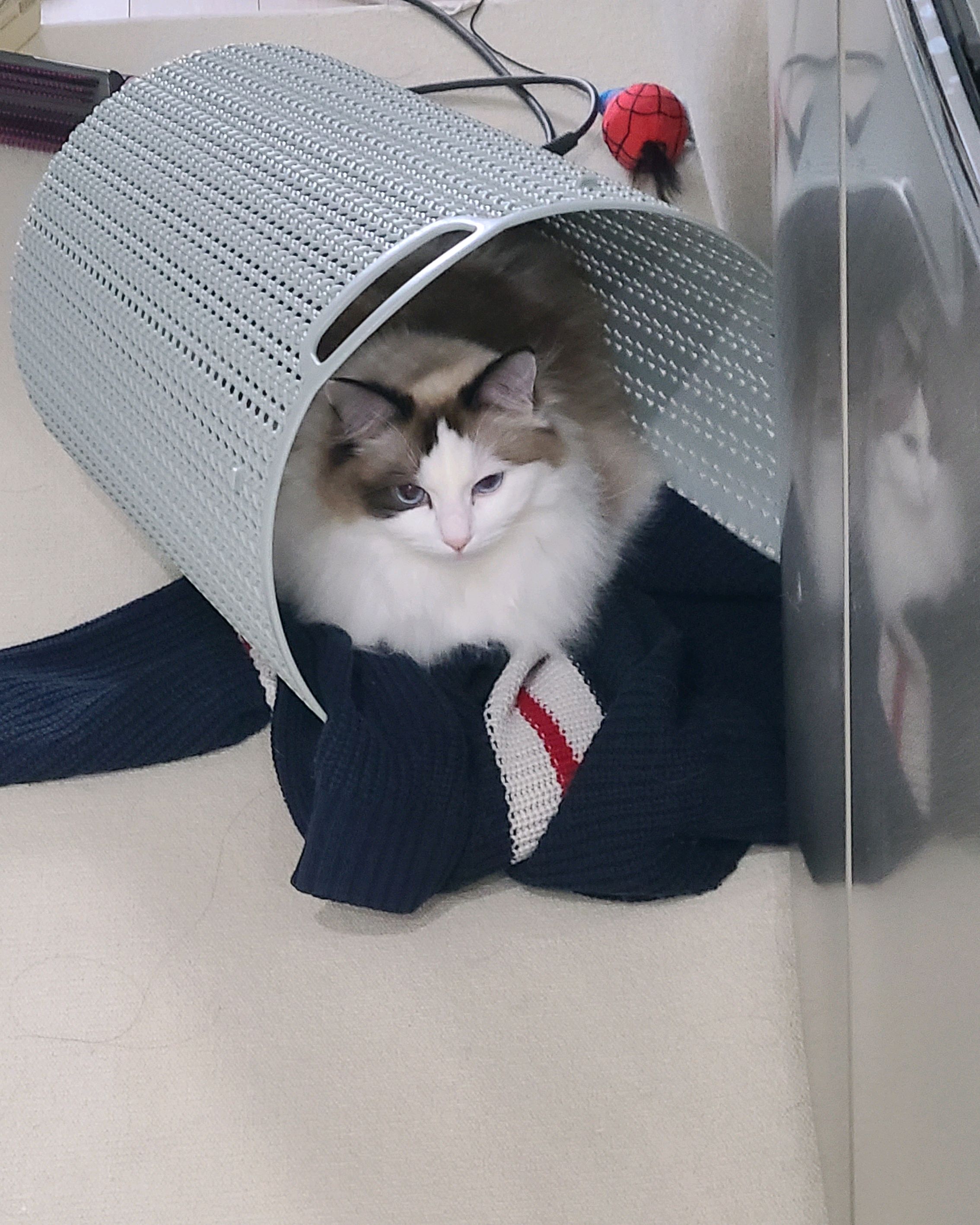 리뷰 사진 1