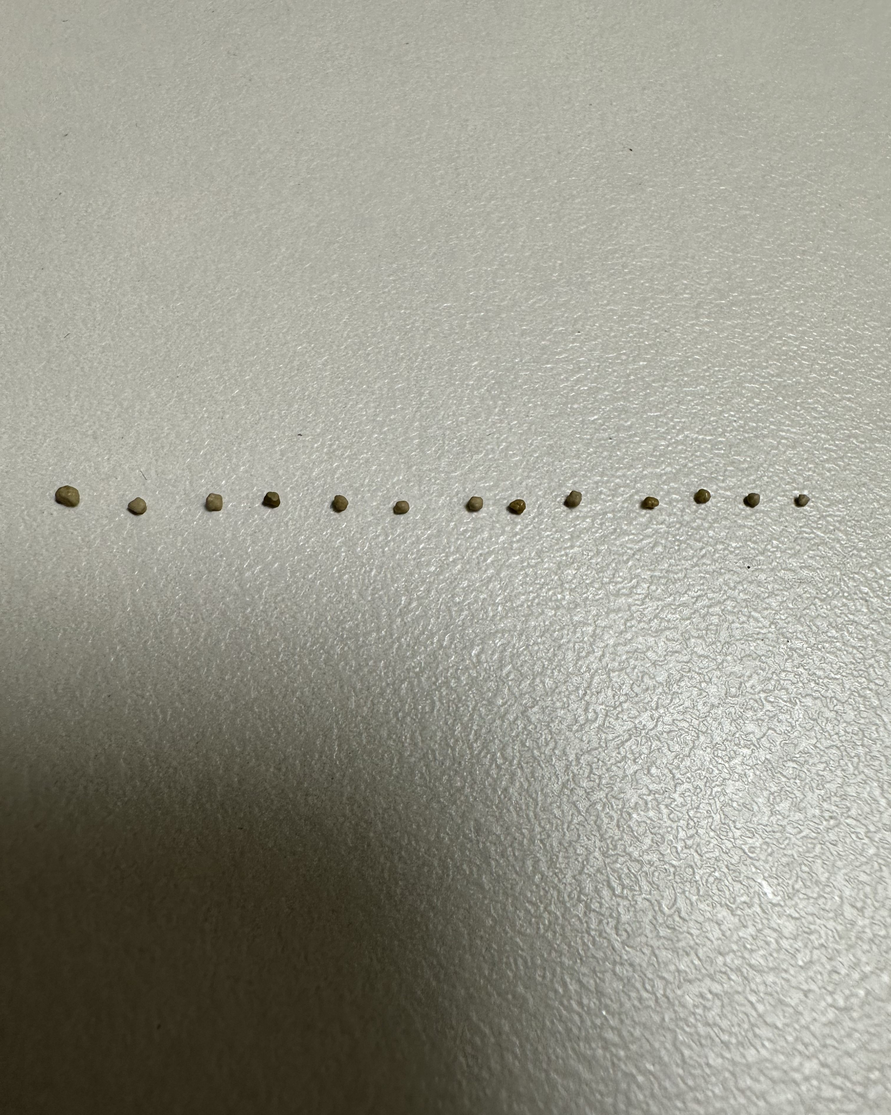 리뷰 사진 1
