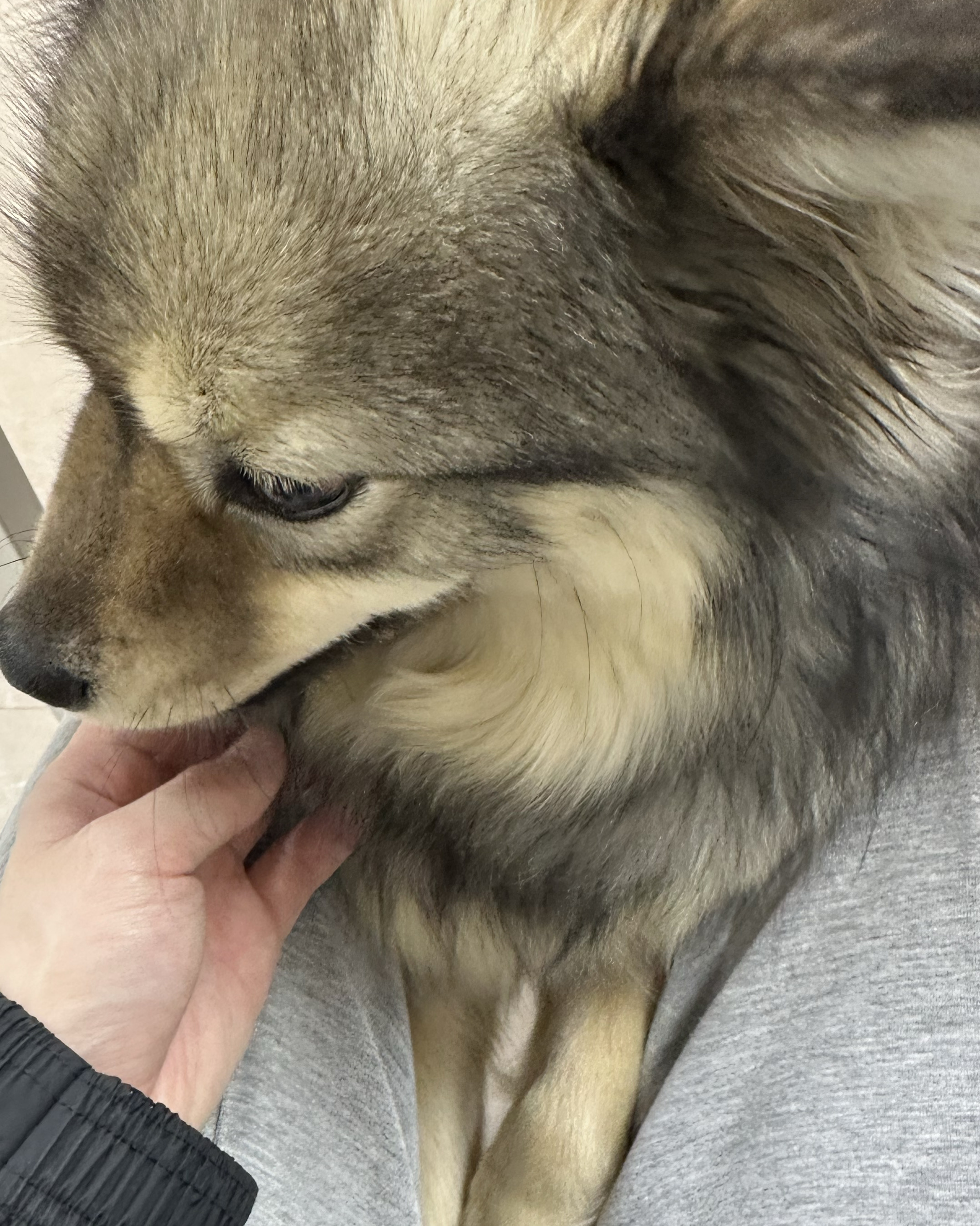 리뷰 사진 1