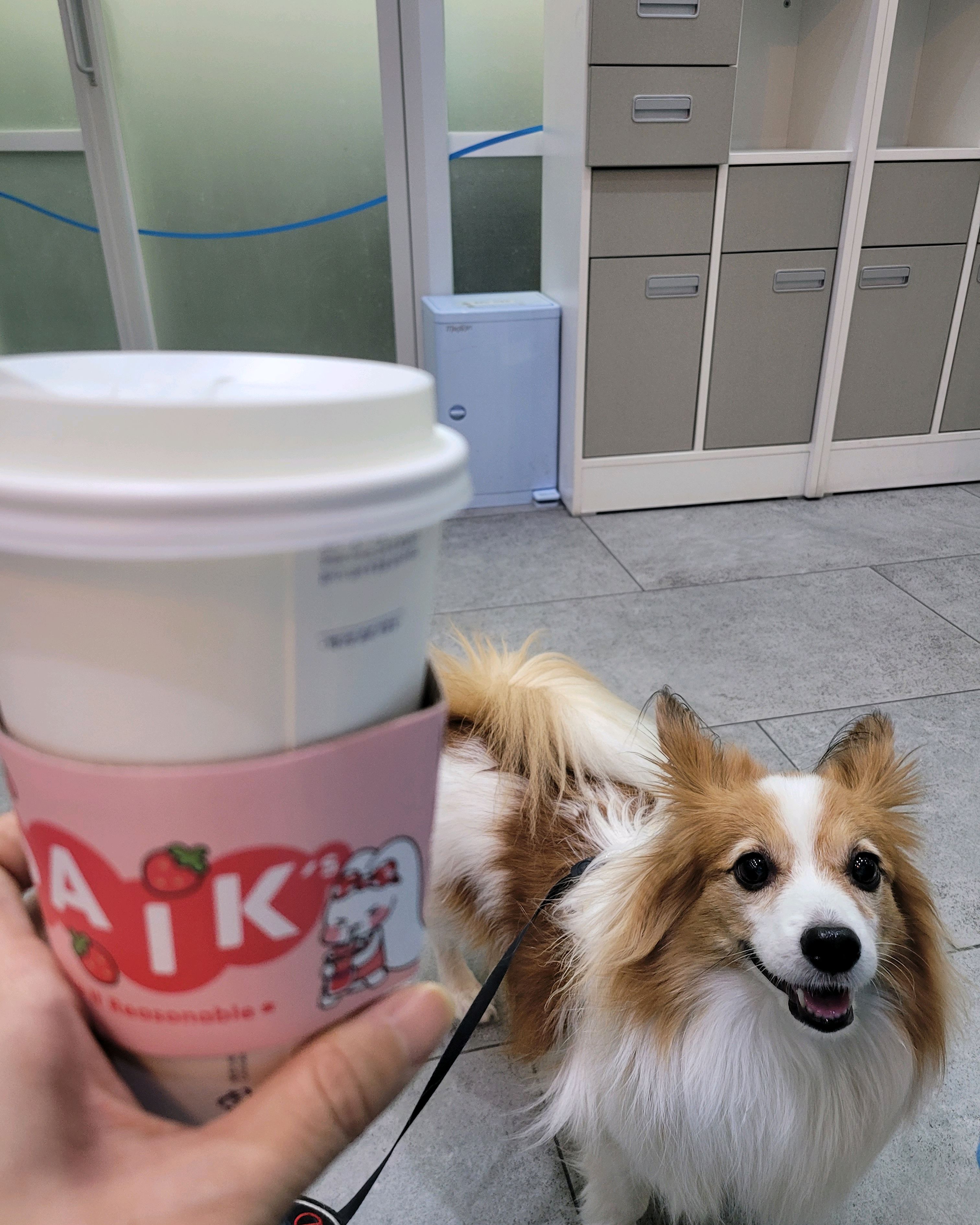 리뷰 사진 1
