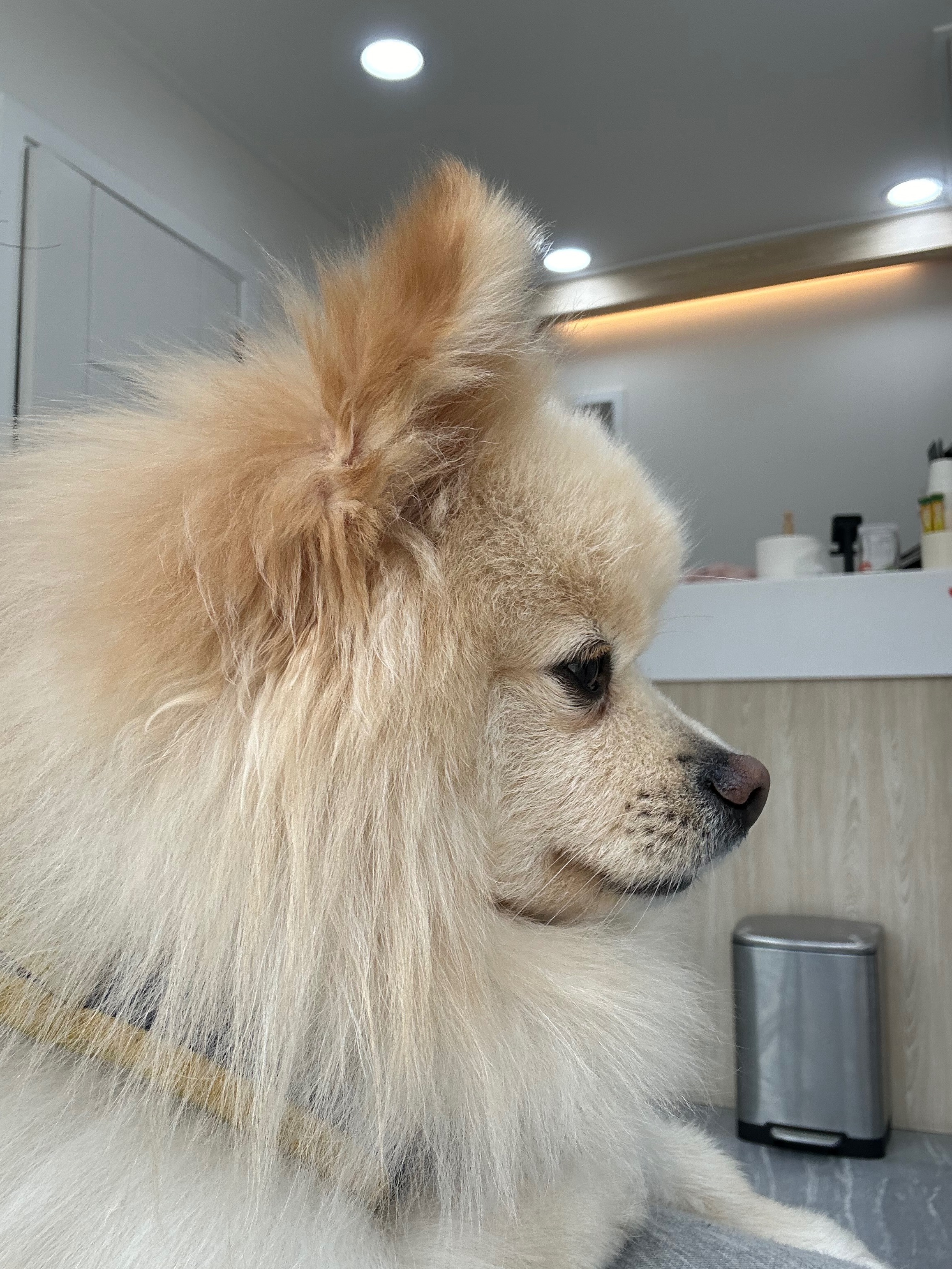 리뷰 사진 1