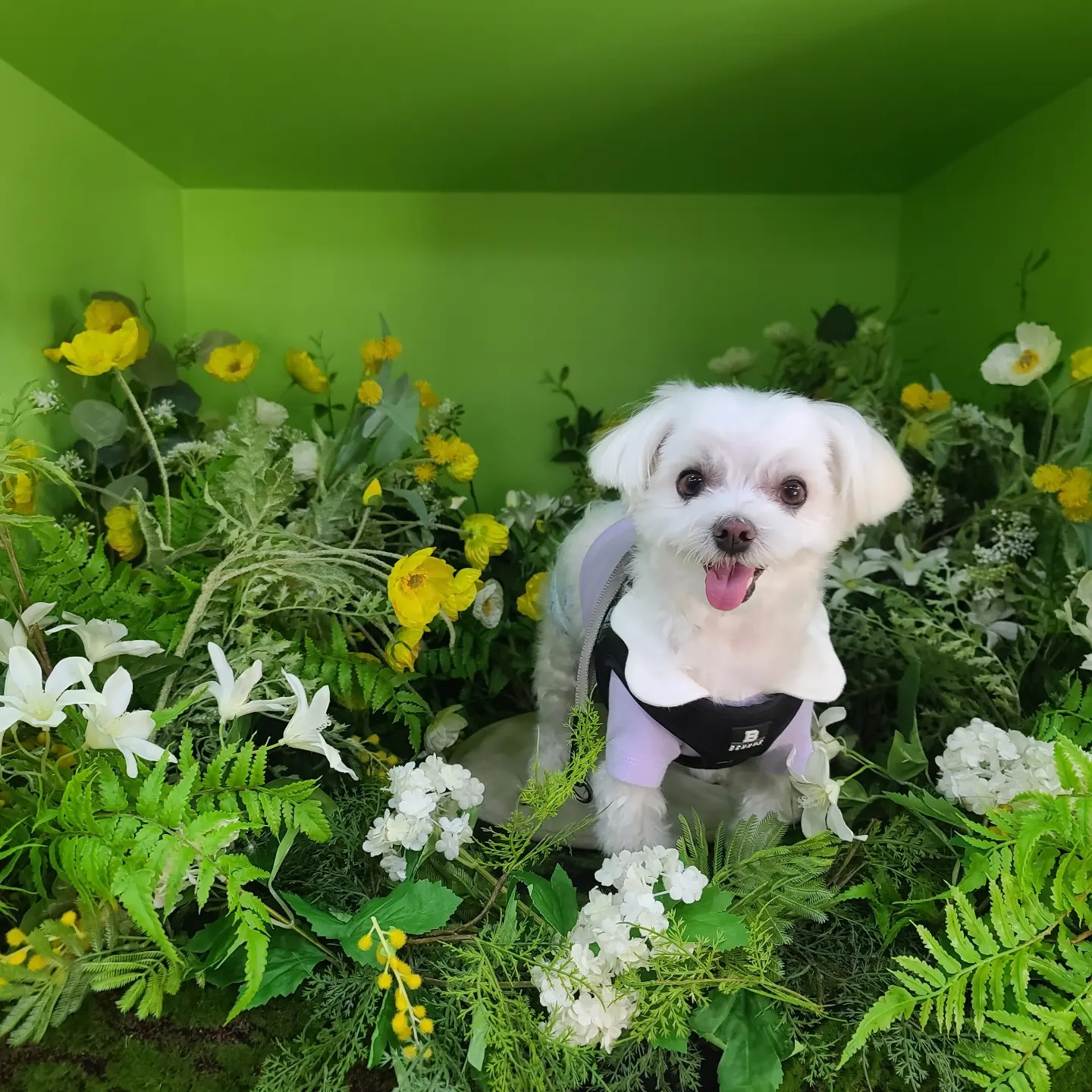 리뷰 사진 1