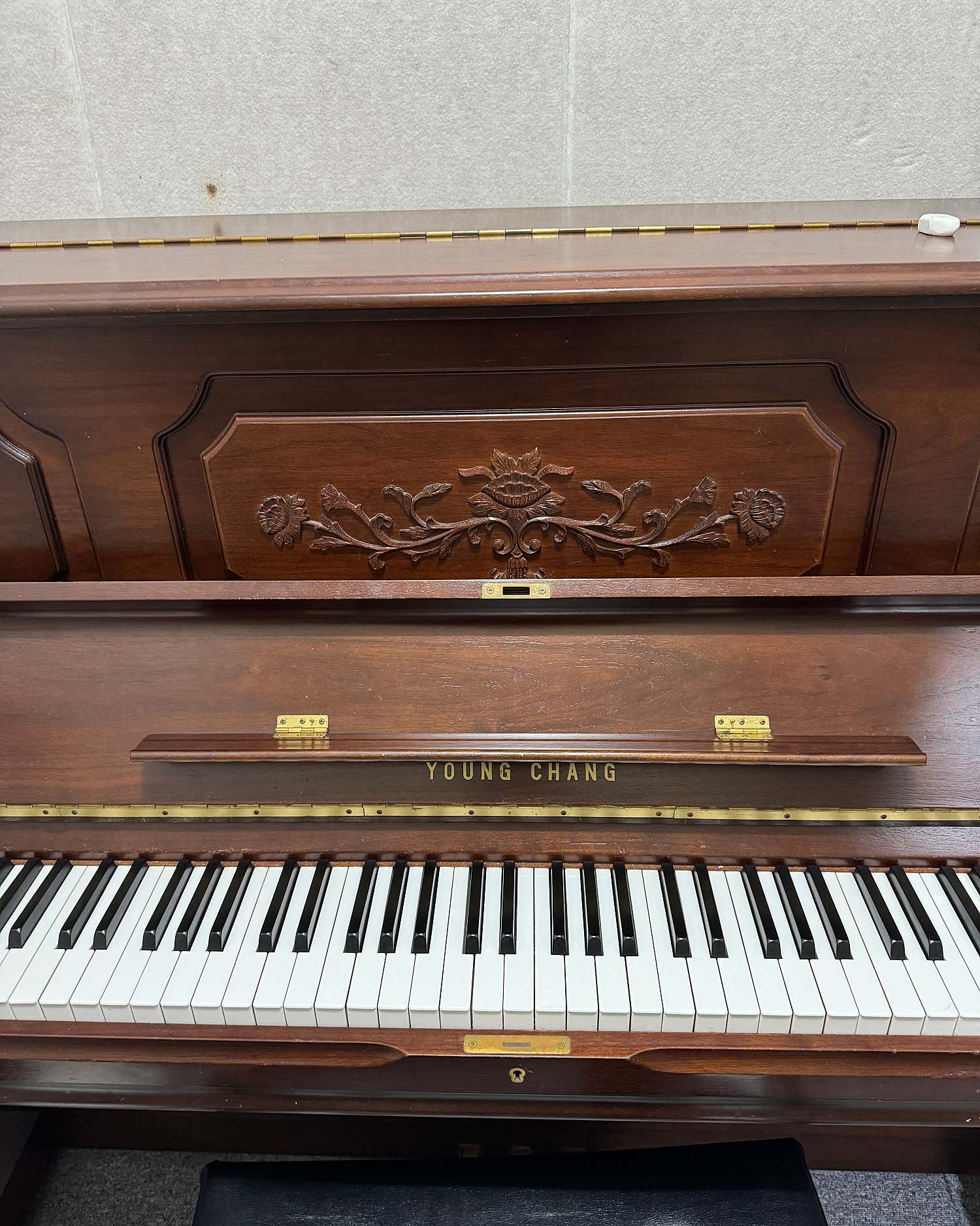 2번째 스튜디오 사진