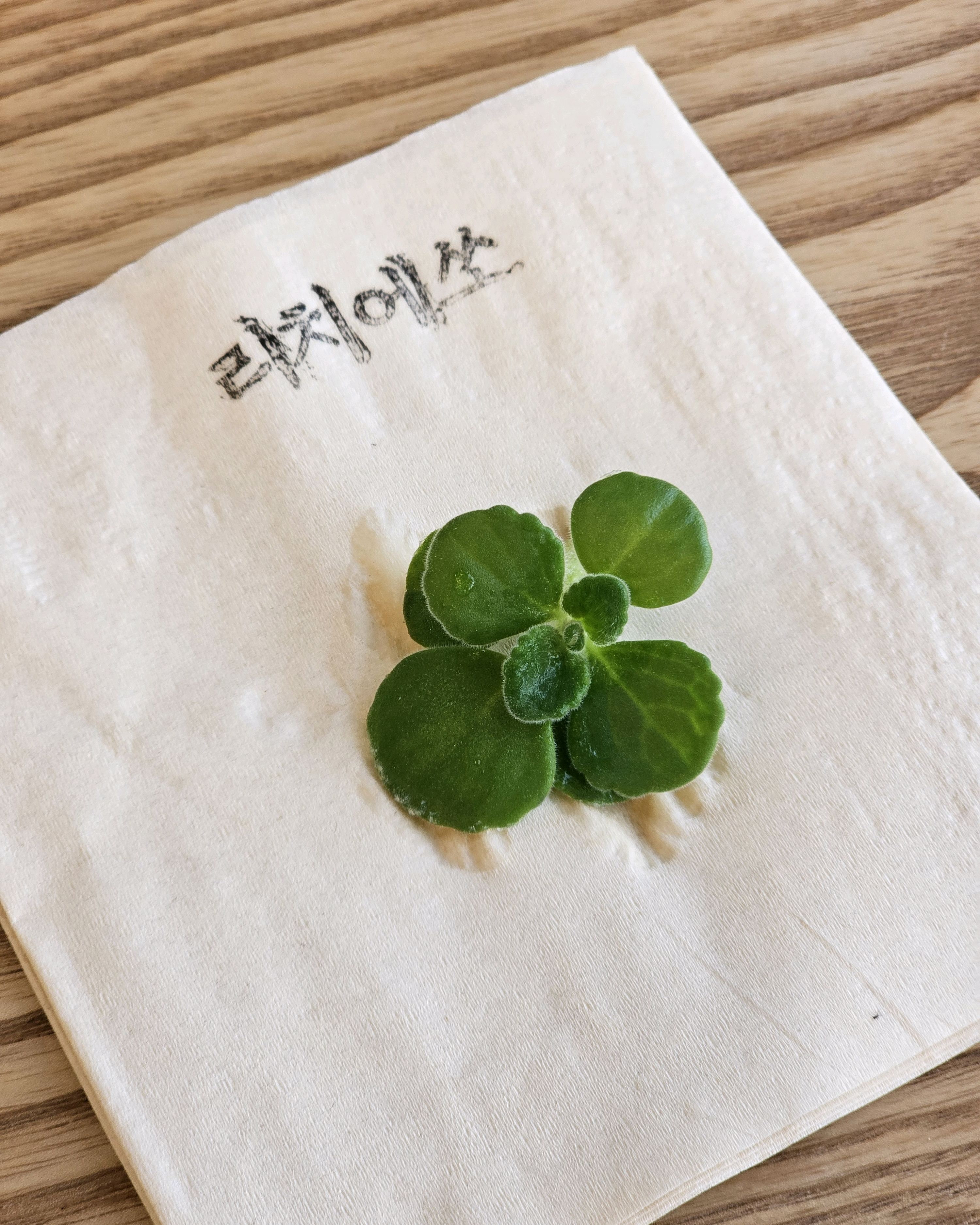 카페 로고가 새겨진 냅킨