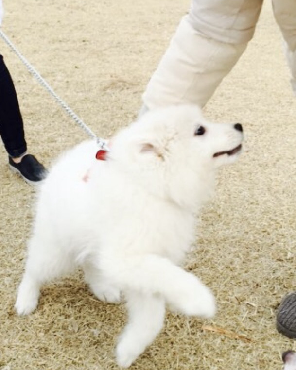 리뷰 사진 2