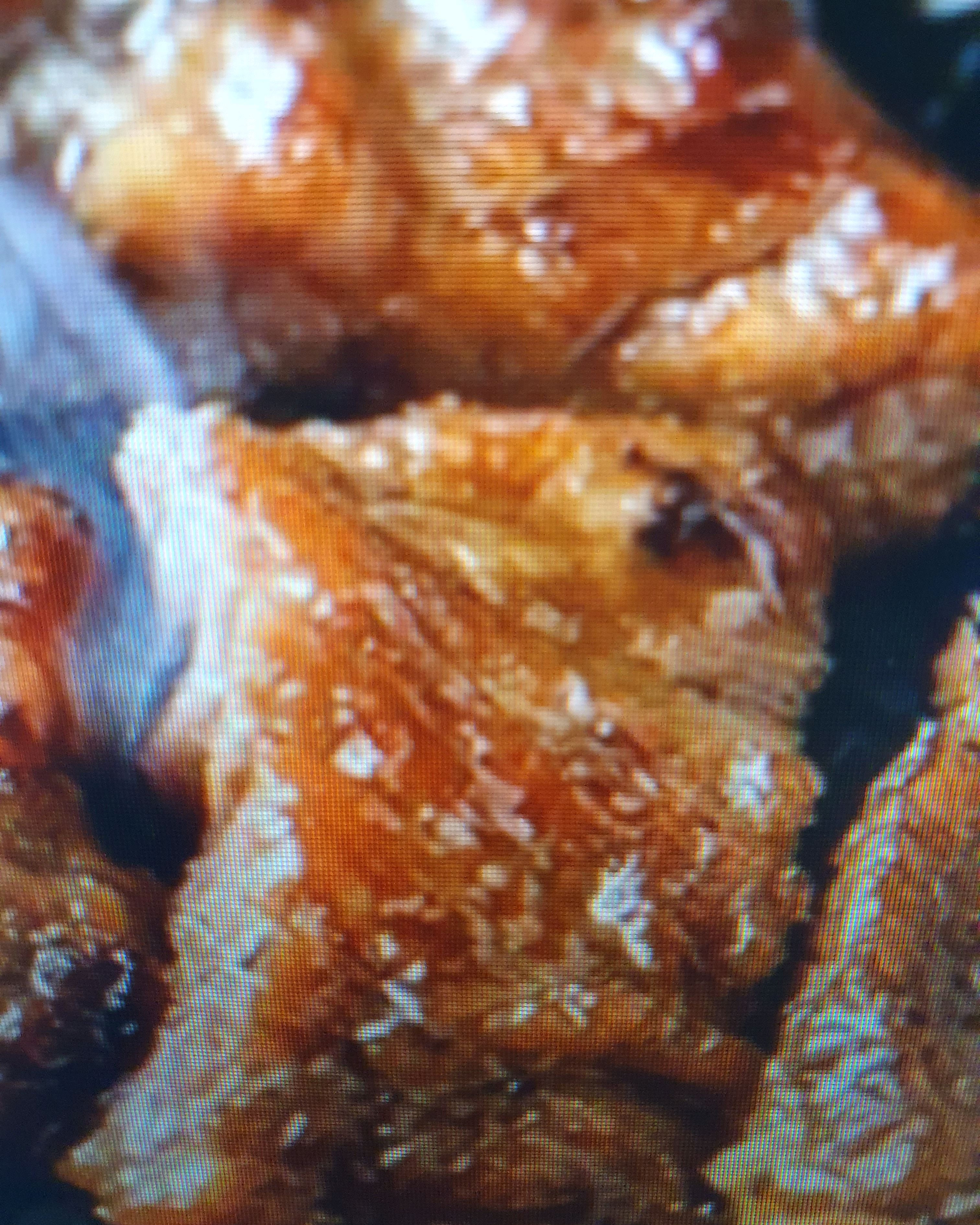 티멤버쉽 할인 된다해서 신랑과 둘이 저녁 먹으러 갔는데 고기도 바로바로 채워지고 야채도 모