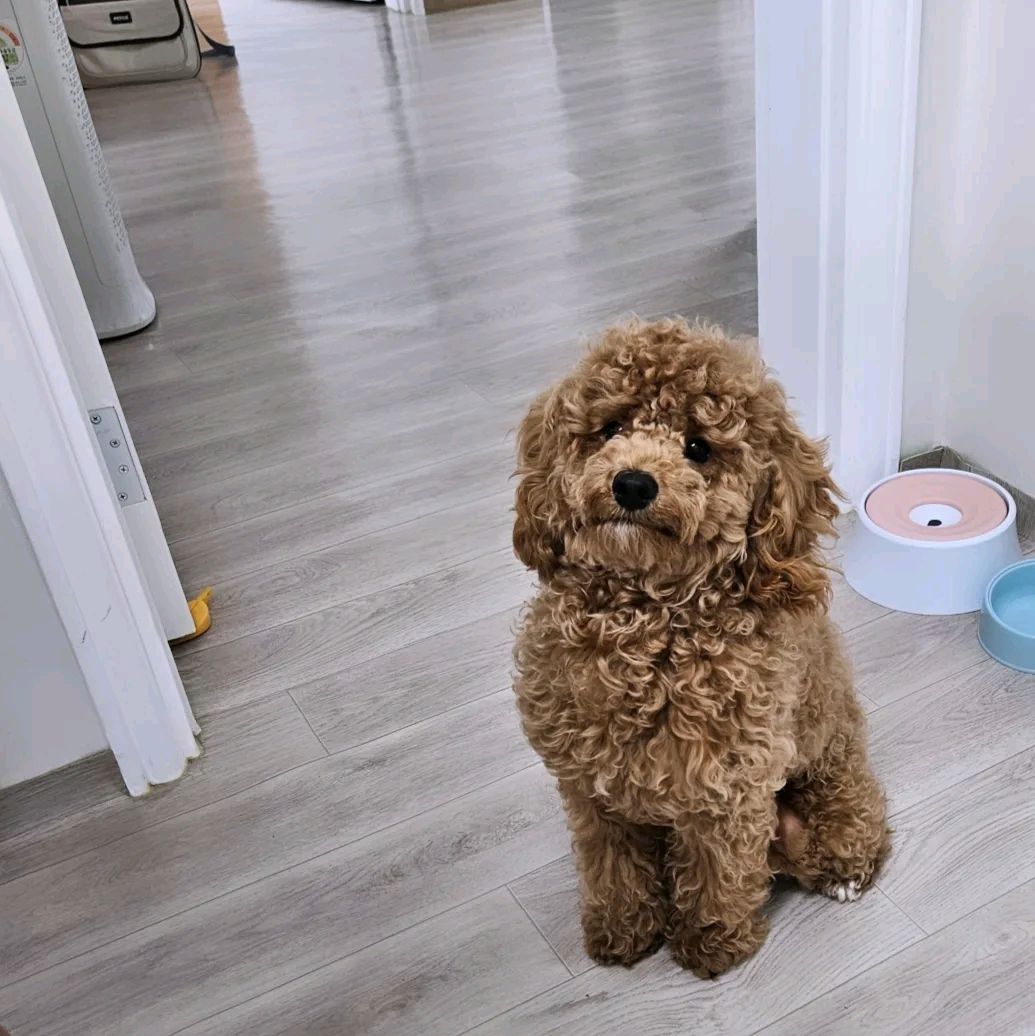 리뷰 사진 1