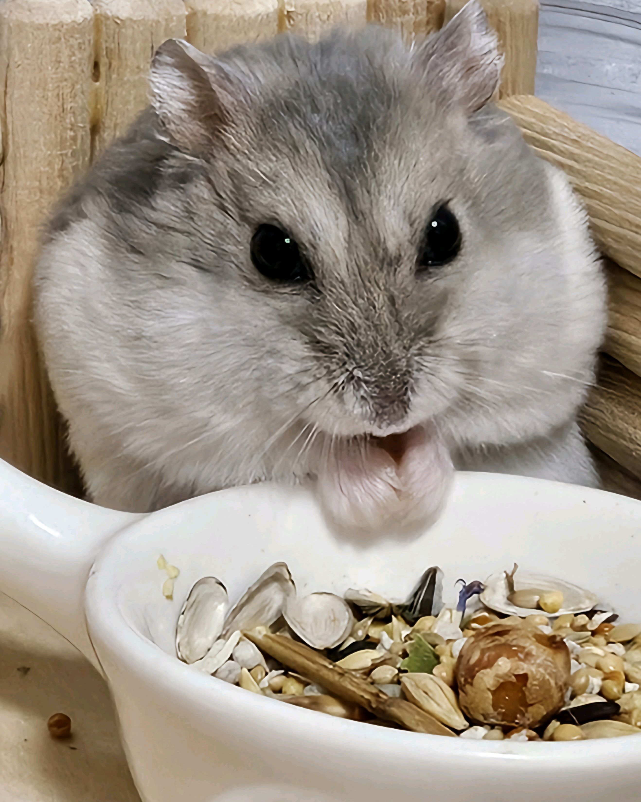 리뷰 사진 2