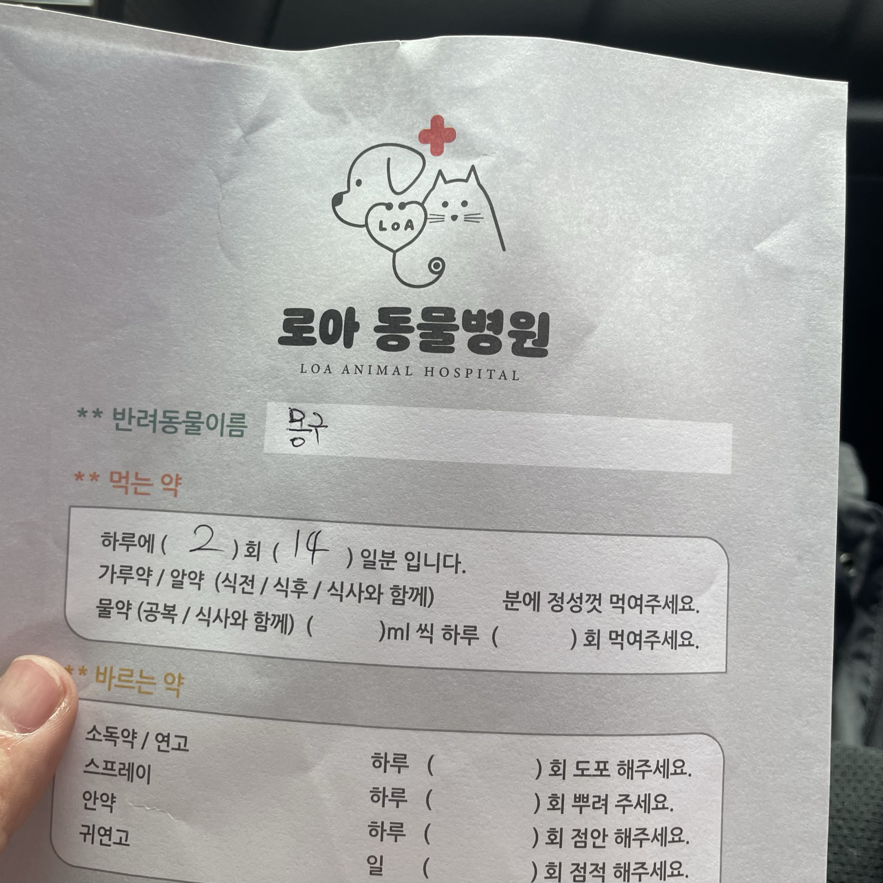 로아동물병원 사진 2