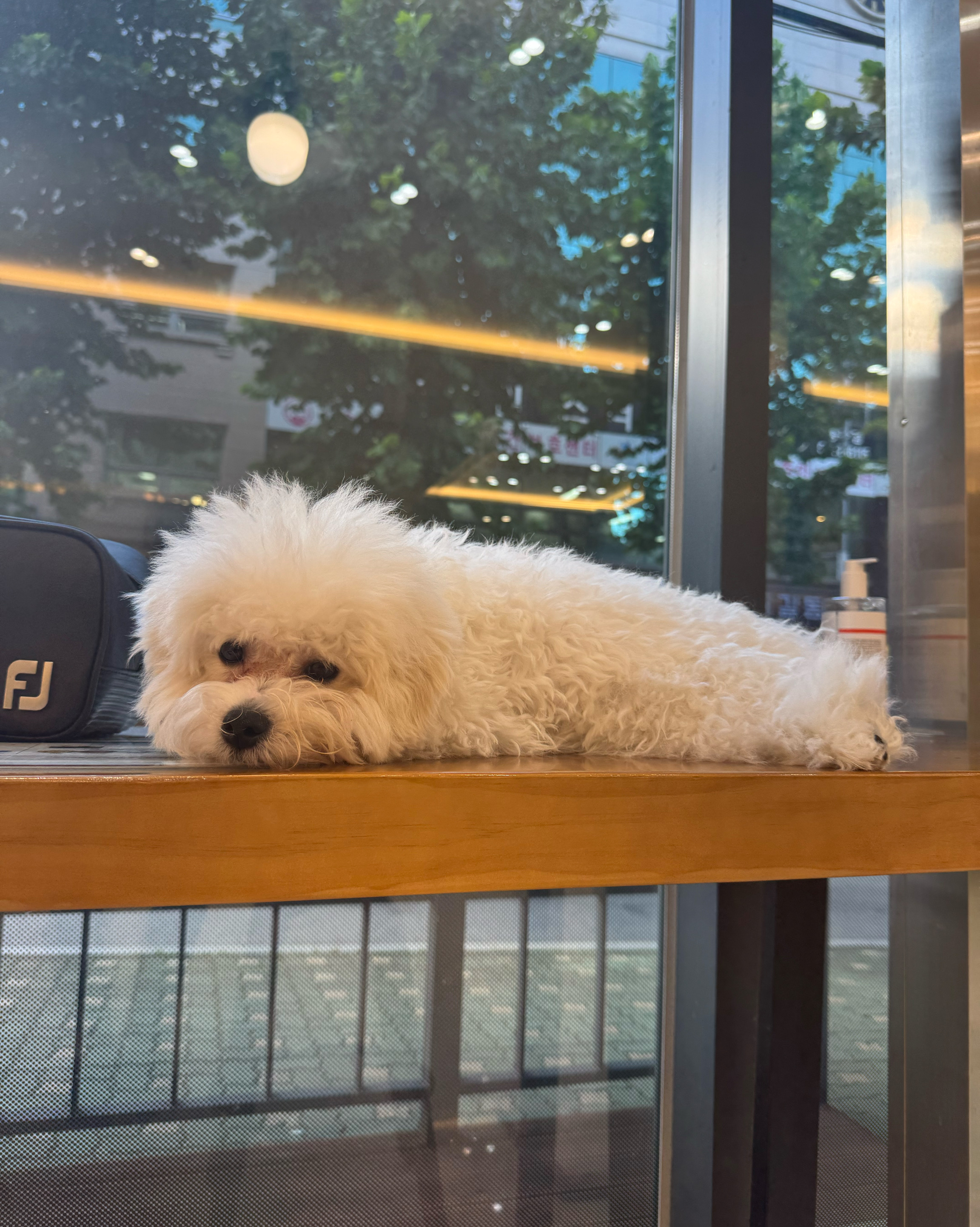 리뷰 사진 1