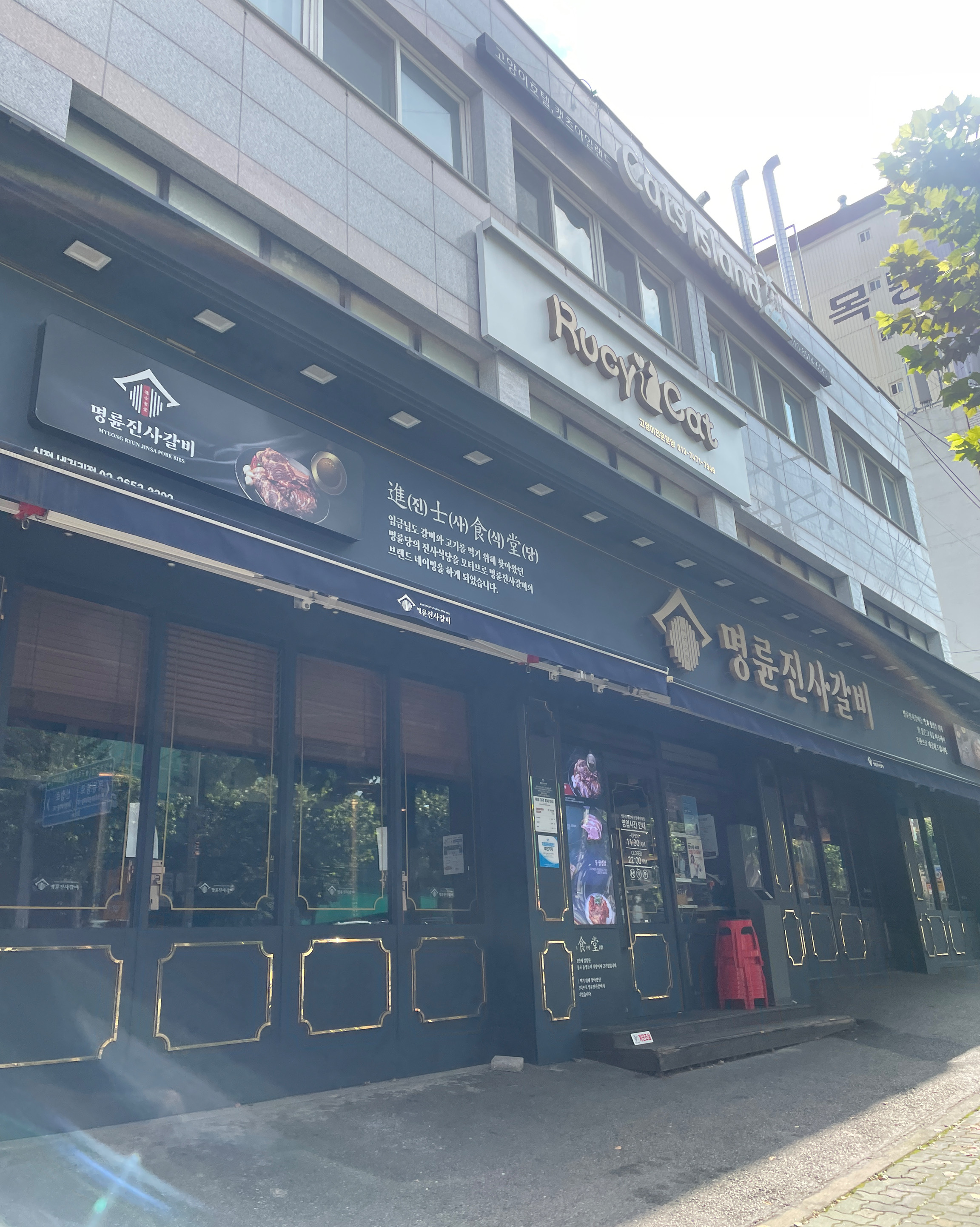 오픈하자마자 - 신정네거리 맛집 명륜진사갈비 신정네거리점