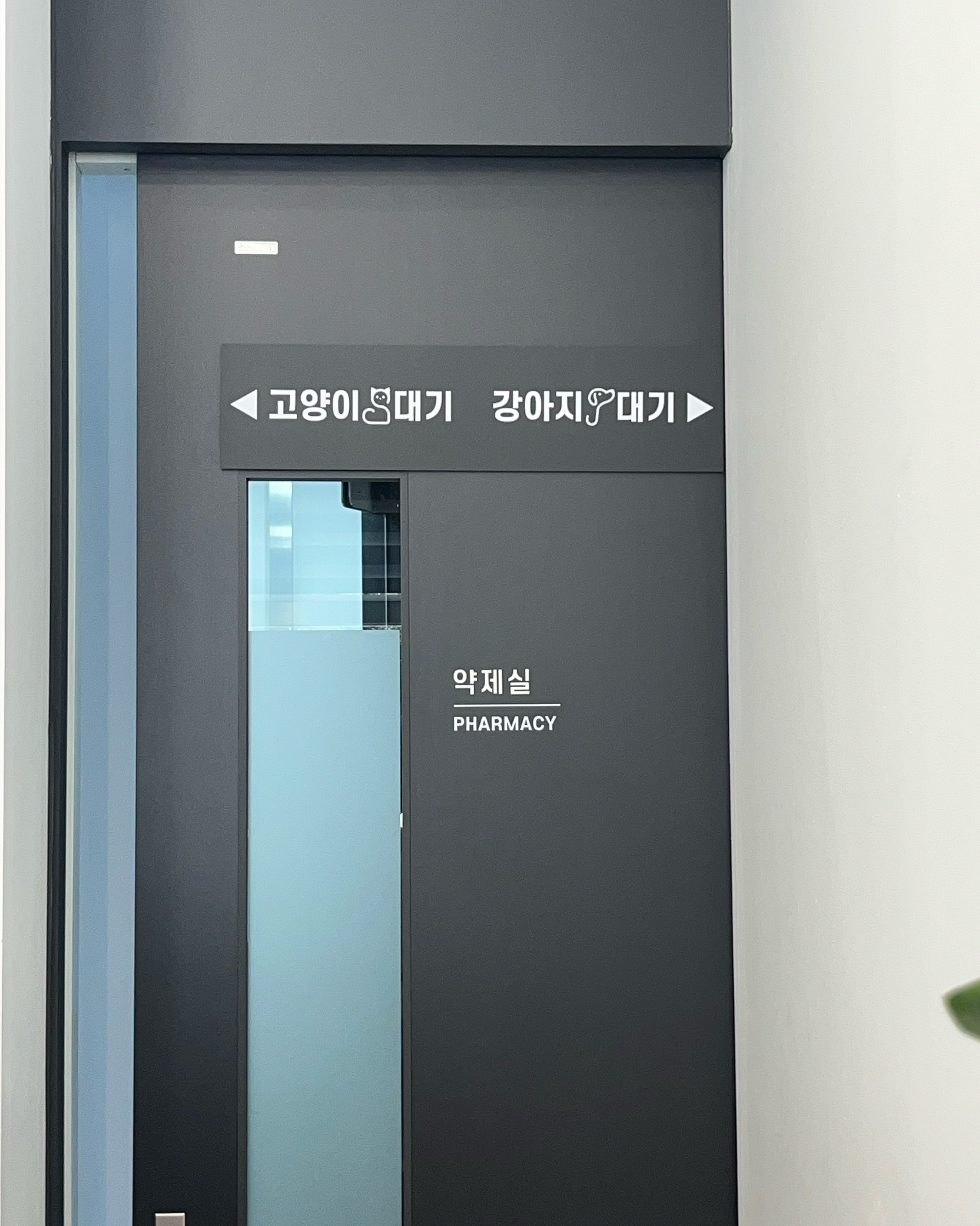 리뷰 사진 5
