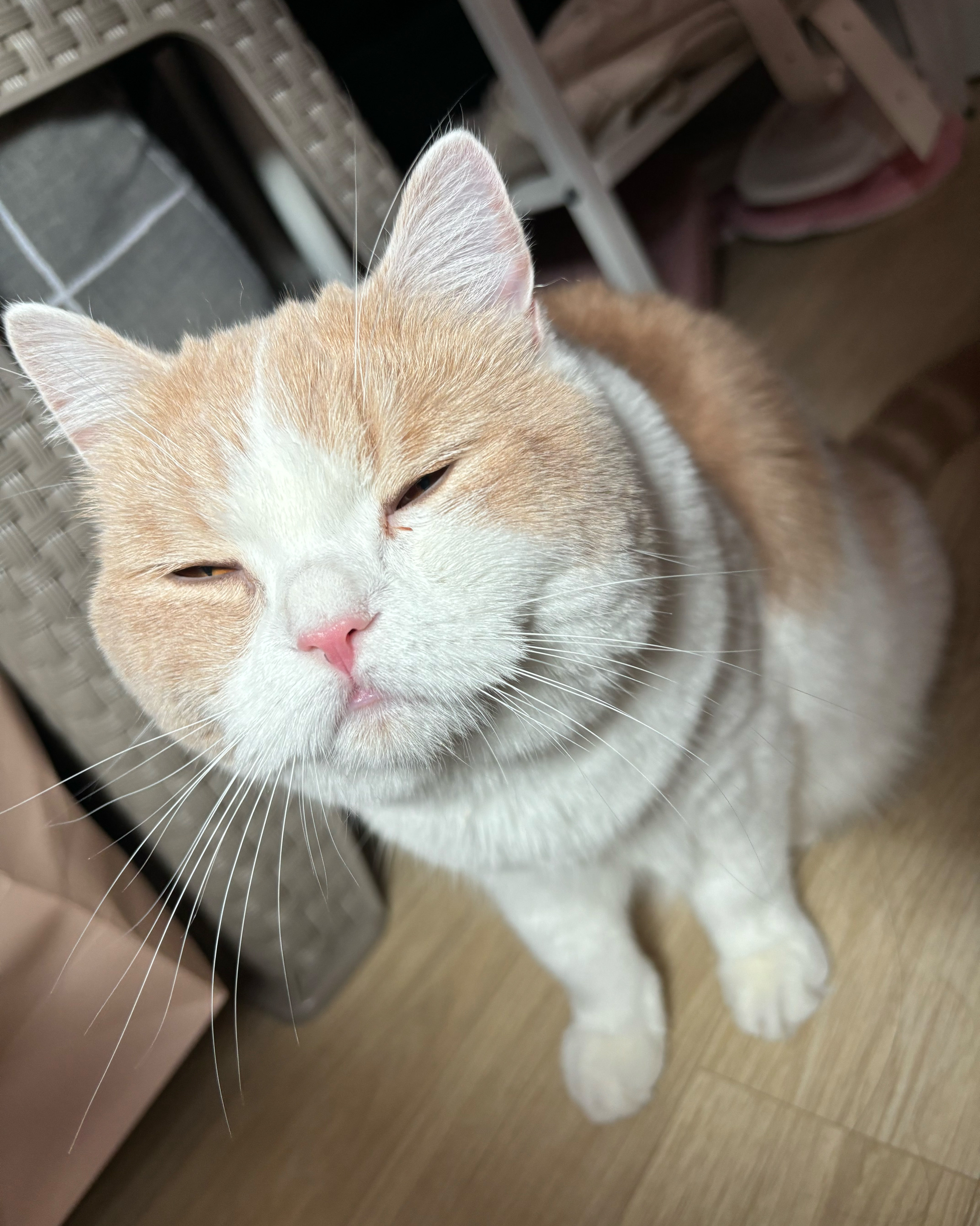 리뷰 사진 2