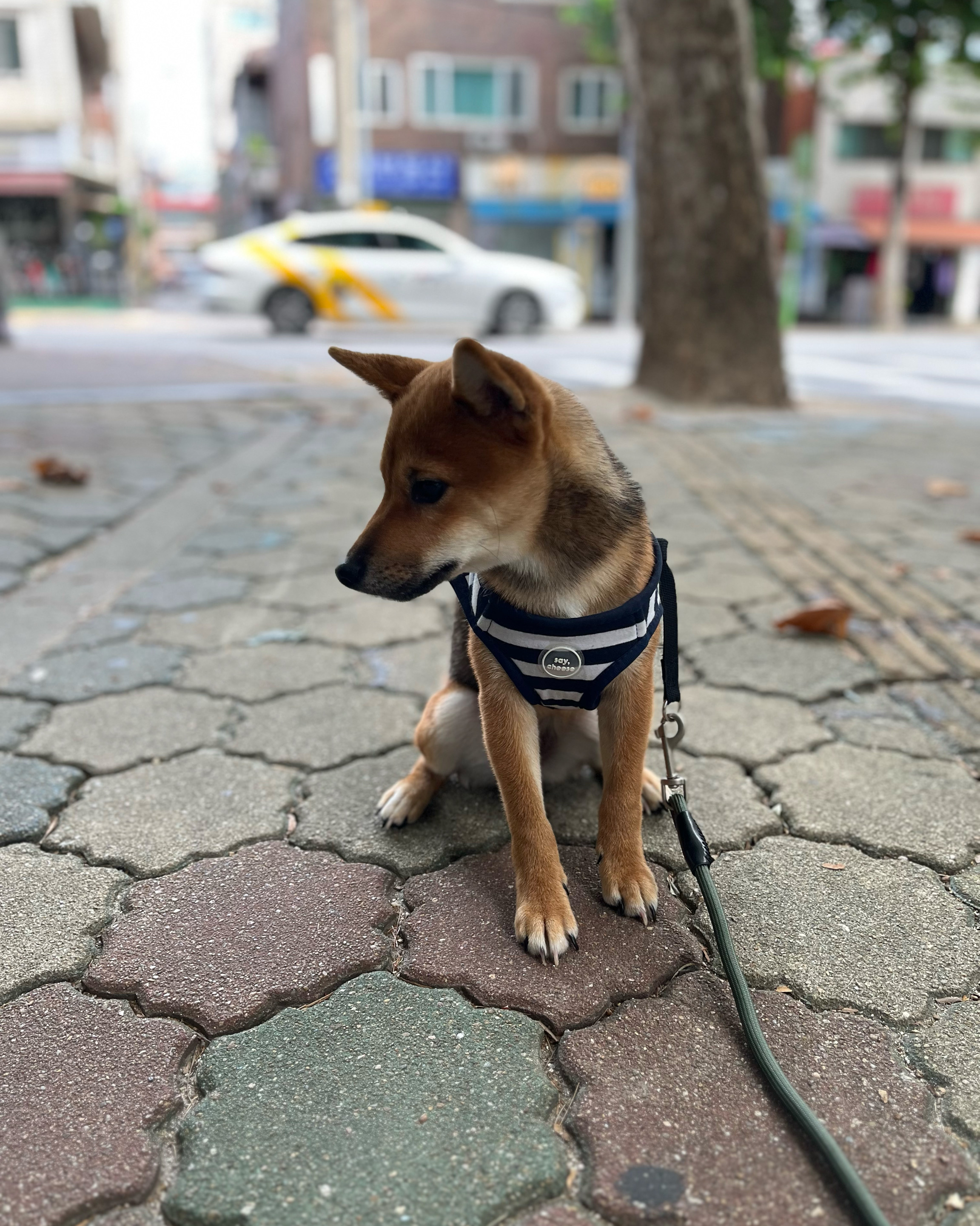 리뷰 사진 2