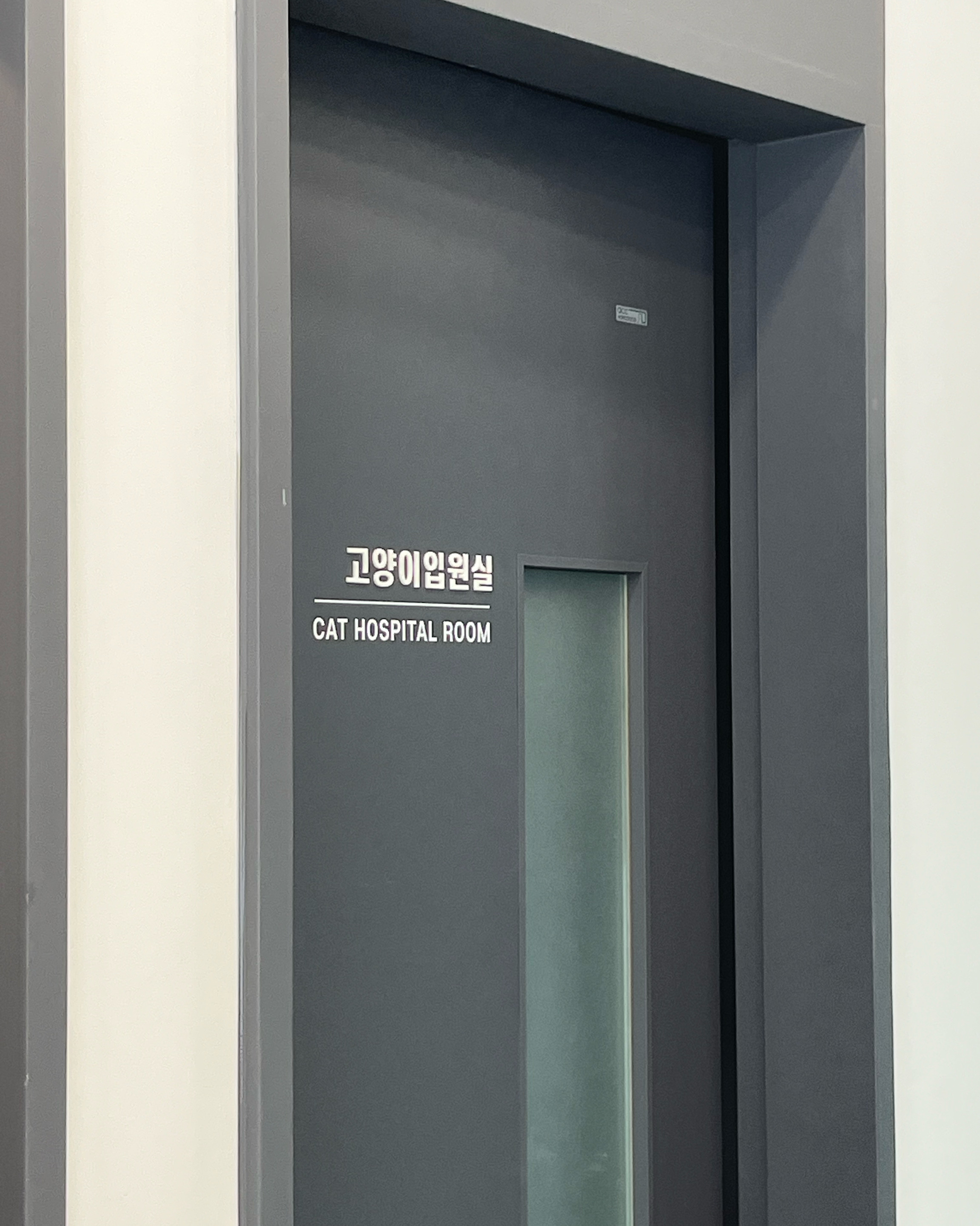 리뷰 사진 6