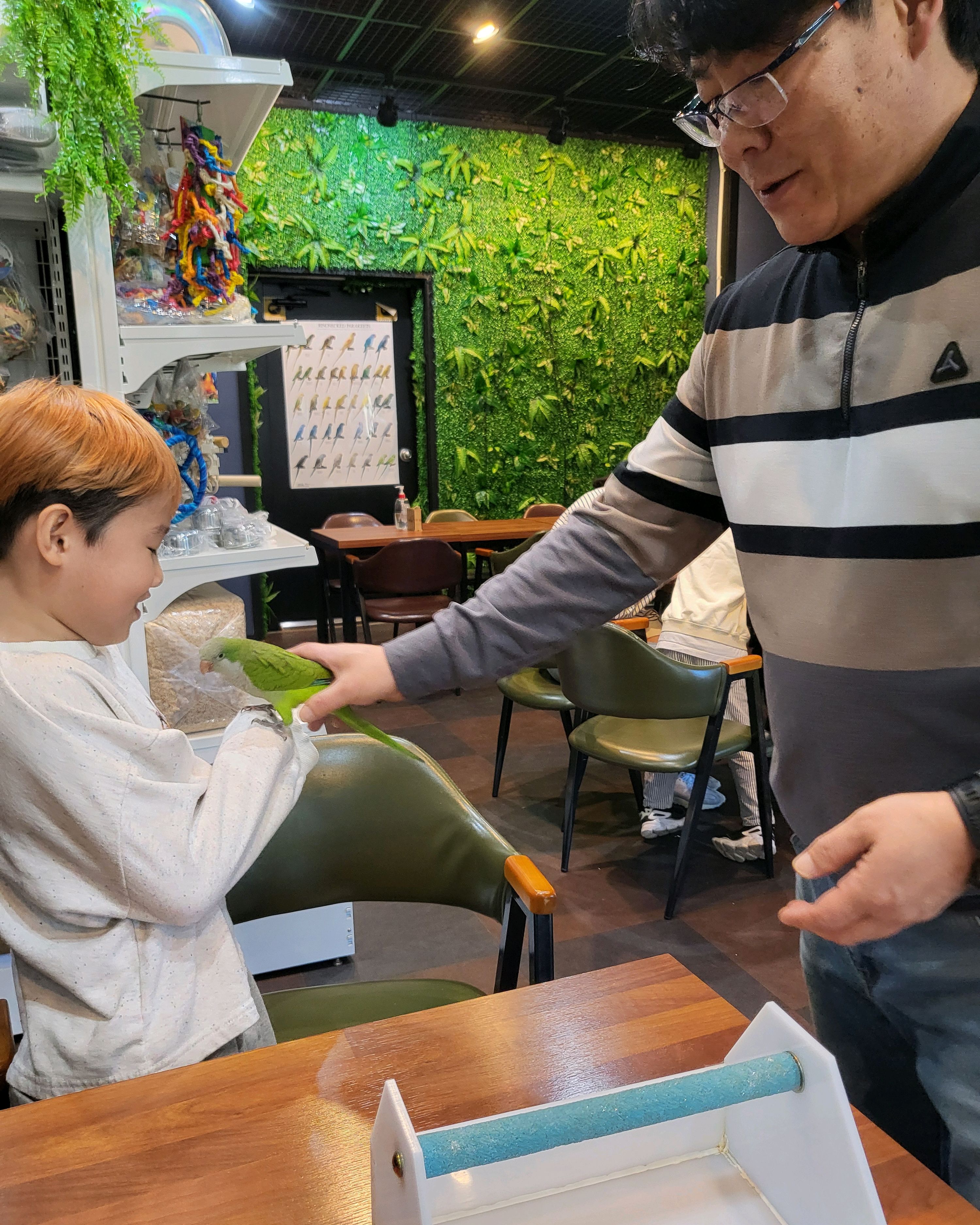 [삼척 맛집 버드브리즈] 직접 가본 로컬 리뷰