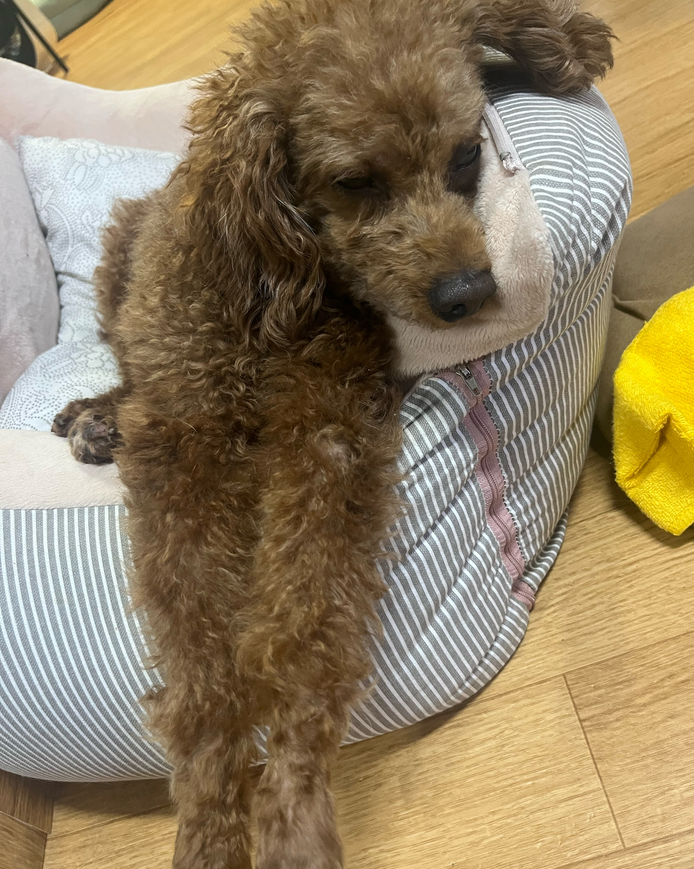 리뷰 사진 2
