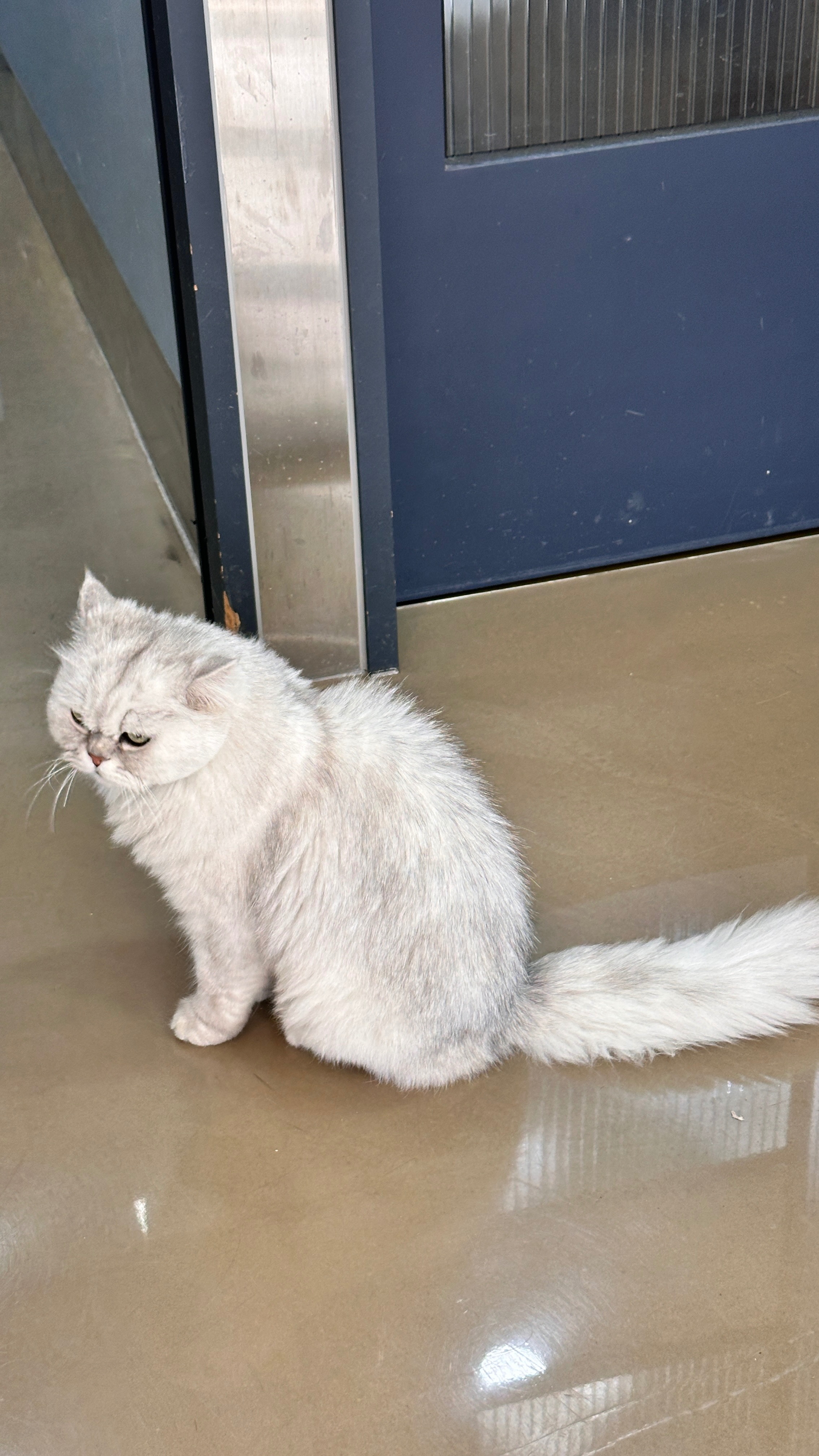 리뷰 사진 1