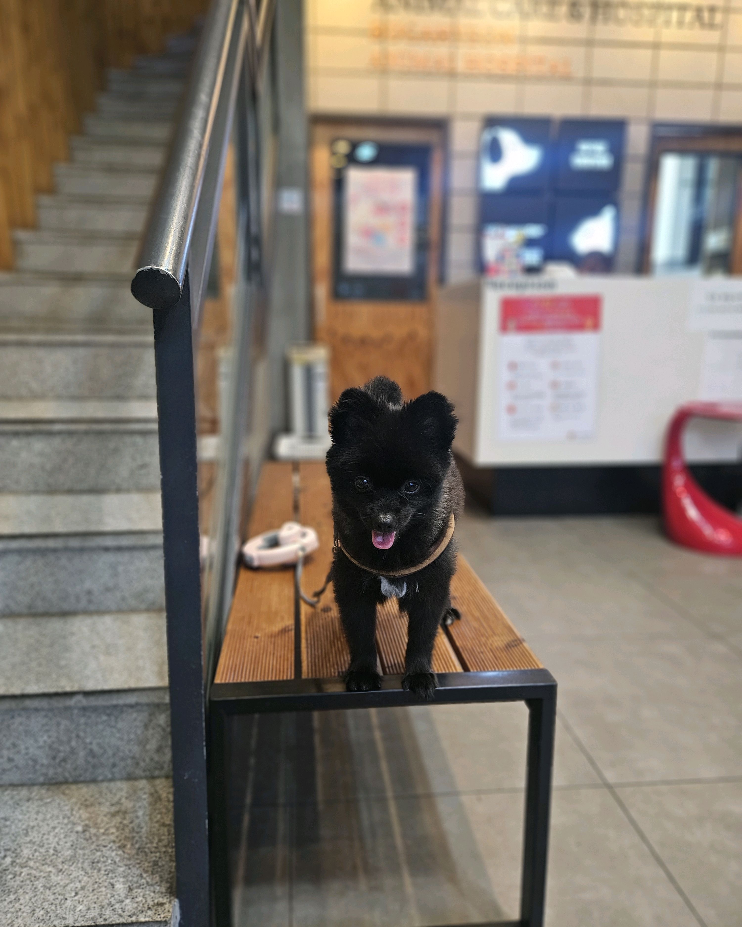 리뷰 사진 2