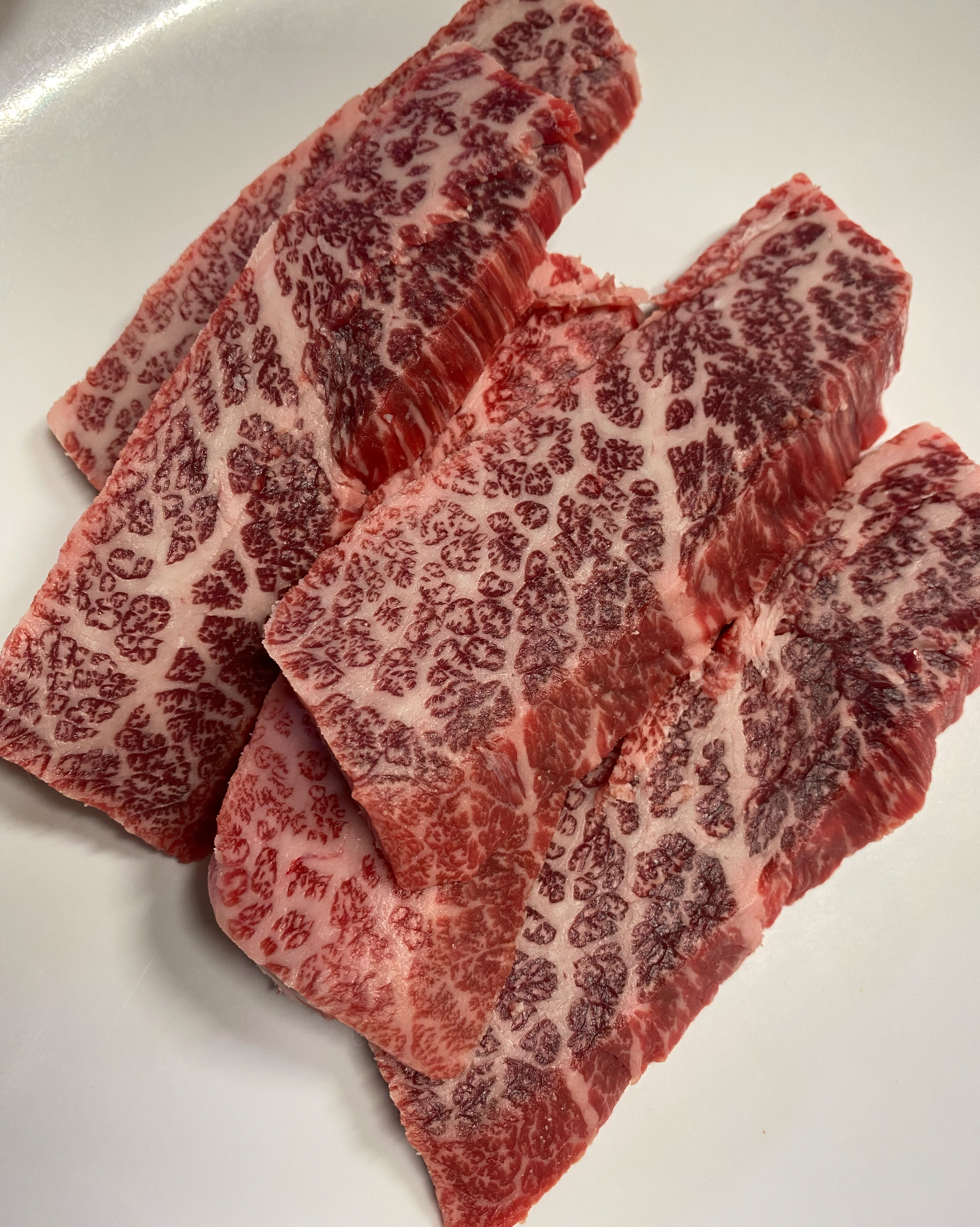 [하이원 맛집 황소식육실비식당 한우하이원] 직접 가본 로컬 리뷰